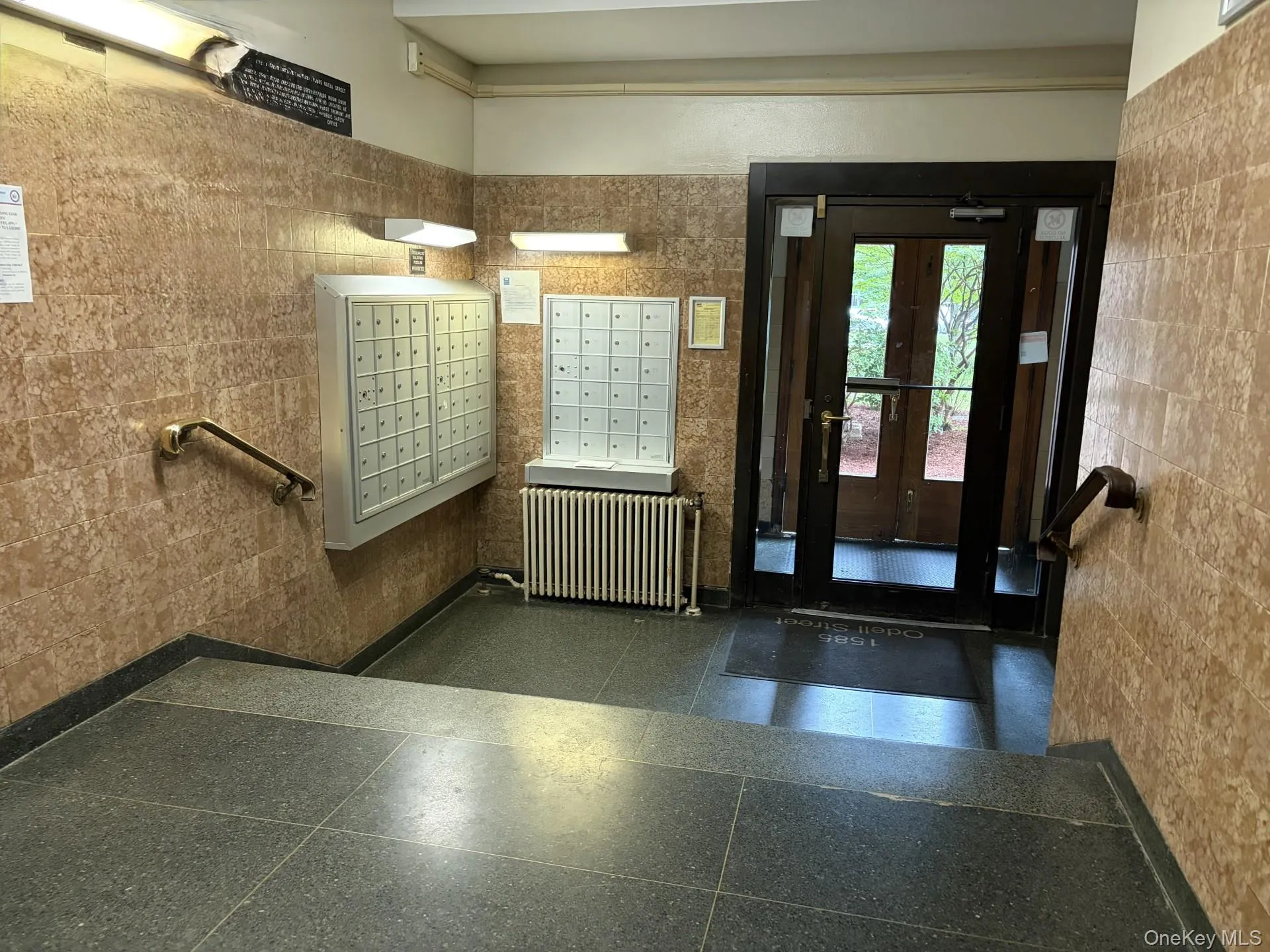 1585 Odell Street, New York, NY, 1 Bedroom Bedrooms, 4 Rooms Rooms,1 BathroomBathrooms,Residential,For Rent,Odell,0,1008471 1585 Odell Street, New York, NY, 1 Bedroom Bedrooms, 4 Rooms Rooms,1 BathroomBathrooms,Residential,For Rent,Odell,0,1008471
