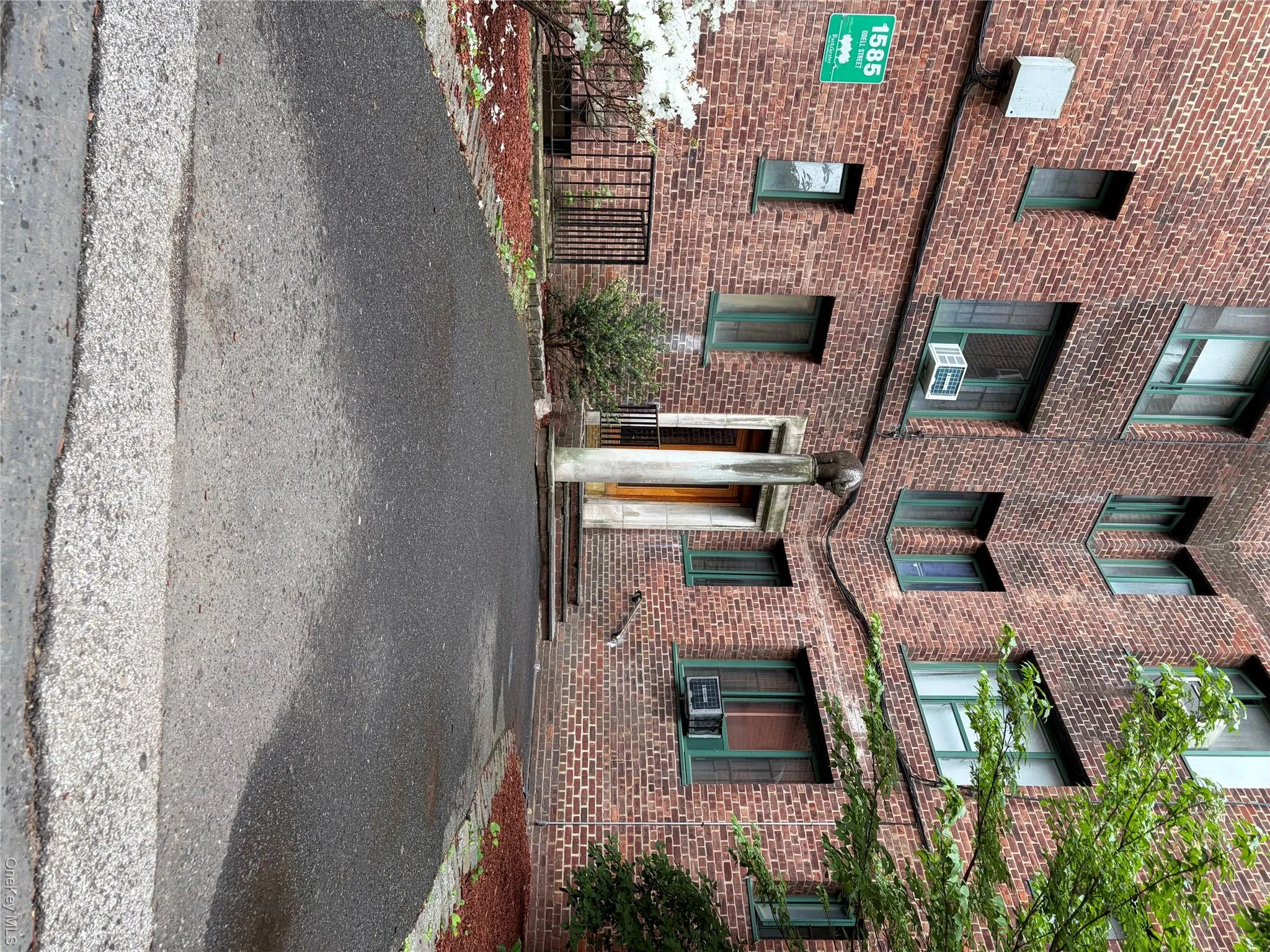 1585 Odell Street, New York, NY, 1 Bedroom Bedrooms, 4 Rooms Rooms,1 BathroomBathrooms,Residential,For Rent,Odell,0,1008471 1585 Odell Street, New York, NY, 1 Bedroom Bedrooms, 4 Rooms Rooms,1 BathroomBathrooms,Residential,For Rent,Odell,0,1008471