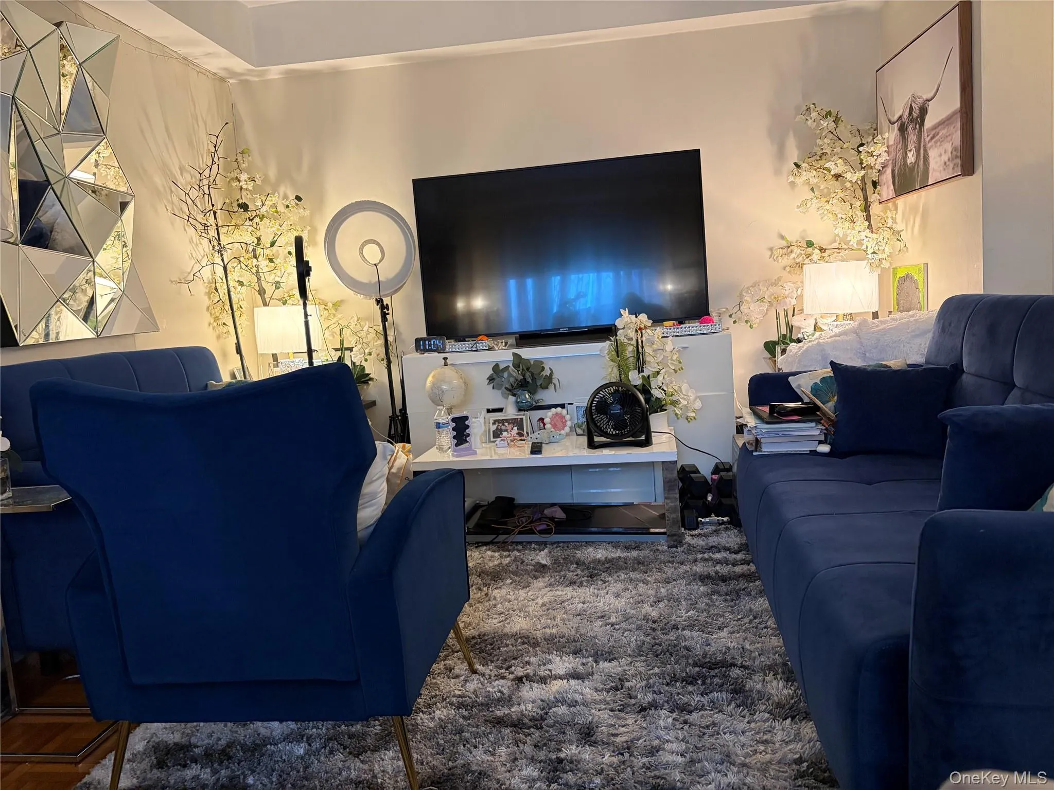 1585 Odell Street, New York, NY, 1 Bedroom Bedrooms, 4 Rooms Rooms,1 BathroomBathrooms,Residential,For Rent,Odell,0,1008471 1585 Odell Street, New York, NY, 1 Bedroom Bedrooms, 4 Rooms Rooms,1 BathroomBathrooms,Residential,For Rent,Odell,0,1008471