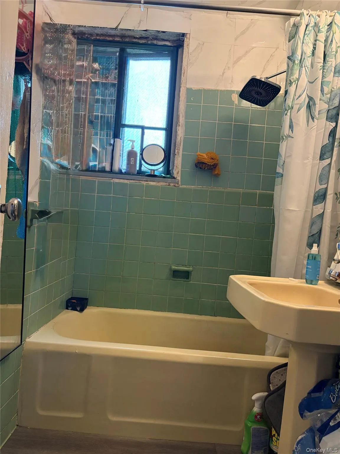 1585 Odell Street, New York, NY, 1 Bedroom Bedrooms, 4 Rooms Rooms,1 BathroomBathrooms,Residential,For Rent,Odell,0,1008471 1585 Odell Street, New York, NY, 1 Bedroom Bedrooms, 4 Rooms Rooms,1 BathroomBathrooms,Residential,For Rent,Odell,0,1008471