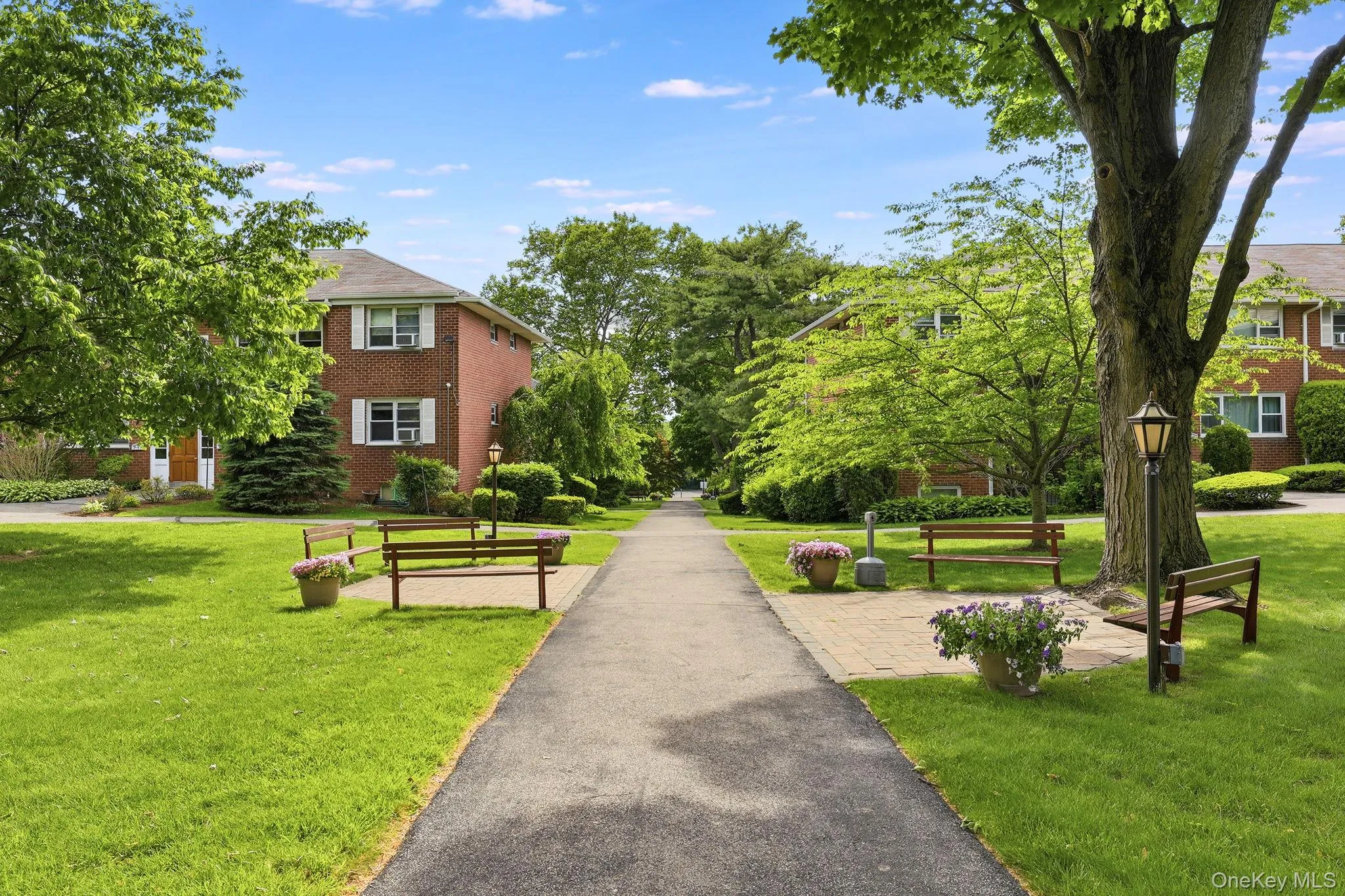 121 North Broadway, White Plains, NY, 2 Bedrooms Bedrooms, 5 Rooms Rooms,1 BathroomBathrooms,Residential,For Rent,North Broadway,0,1008576 121 North Broadway, White Plains, NY, 2 Bedrooms Bedrooms, 5 Rooms Rooms,1 BathroomBathrooms,Residential,For Rent,North Broadway,0,1008576