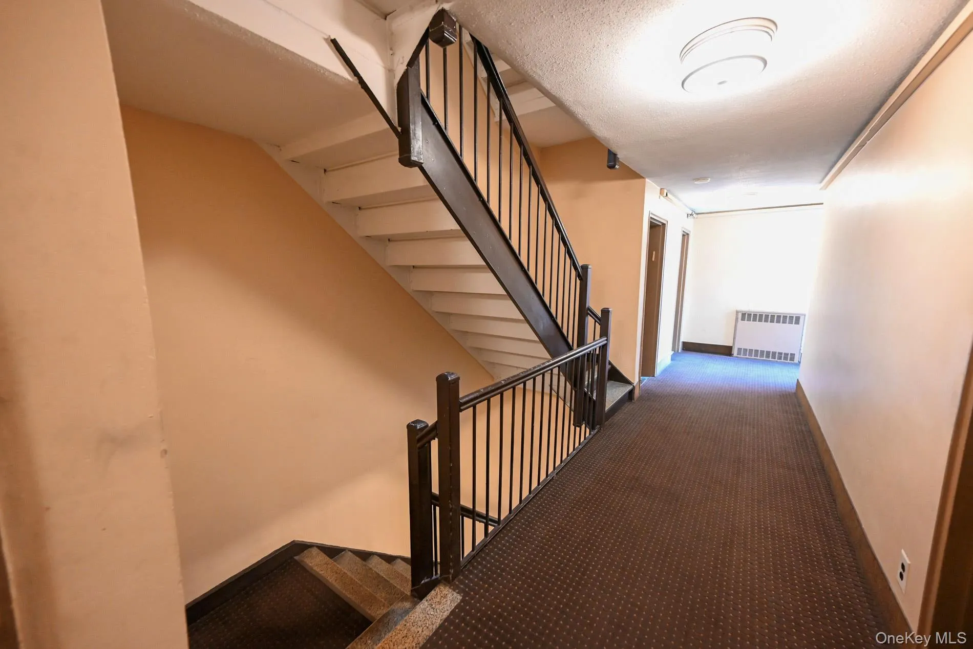 105-21 66th Avenue, New York, NY, 1 Bedroom Bedrooms, 3 Rooms Rooms,1 BathroomBathrooms,Residential,For Rent,66th,0,1008610 105-21 66th Avenue, New York, NY, 1 Bedroom Bedrooms, 3 Rooms Rooms,1 BathroomBathrooms,Residential,For Rent,66th,0,1008610