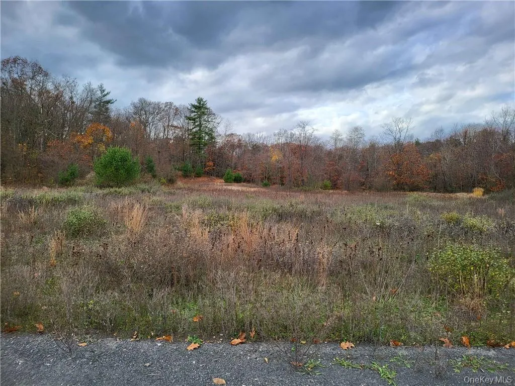 Ashley Drive - Lot 5, Rosendale, NY, ,Land,For Rent,Ashley Drive - Lot 5,0,1008612 Ashley Drive - Lot 5, Rosendale, NY, ,Land,For Rent,Ashley Drive - Lot 5,0,1008612