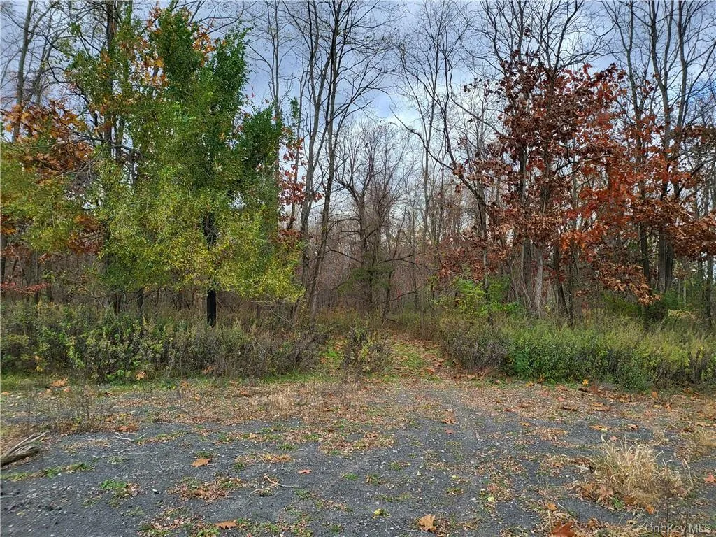 Ashley Drive - Lot 5, Rosendale, NY, ,Land,For Rent,Ashley Drive - Lot 5,0,1008612 Ashley Drive - Lot 5, Rosendale, NY, ,Land,For Rent,Ashley Drive - Lot 5,0,1008612