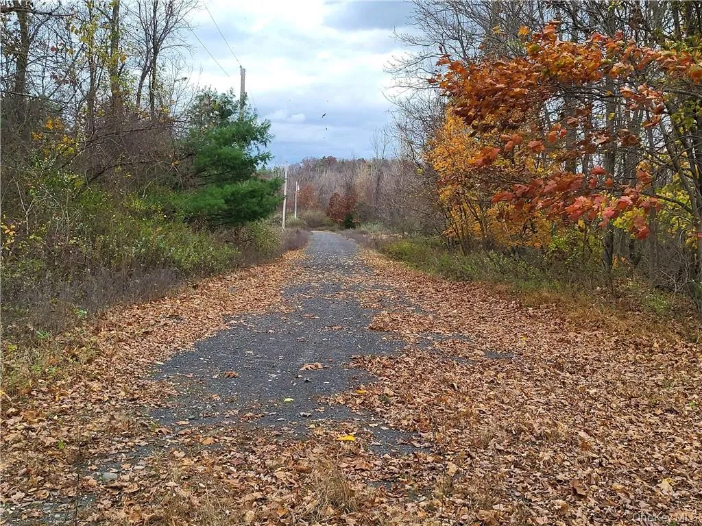 Ashley Drive - Lot 5, Rosendale, NY, ,Land,For Rent,Ashley Drive - Lot 5,0,1008612 Ashley Drive - Lot 5, Rosendale, NY, ,Land,For Rent,Ashley Drive - Lot 5,0,1008612