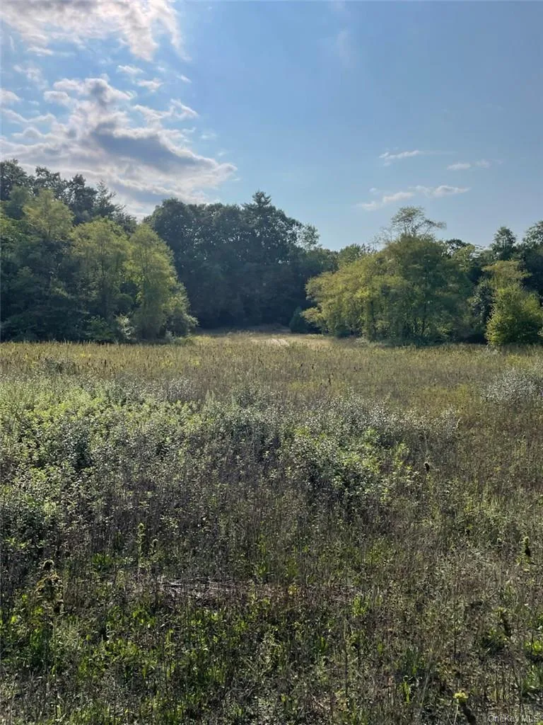 Ashley Drive - Lot 5, Rosendale, NY, ,Land,For Rent,Ashley Drive - Lot 5,0,1008612 Ashley Drive - Lot 5, Rosendale, NY, ,Land,For Rent,Ashley Drive - Lot 5,0,1008612
