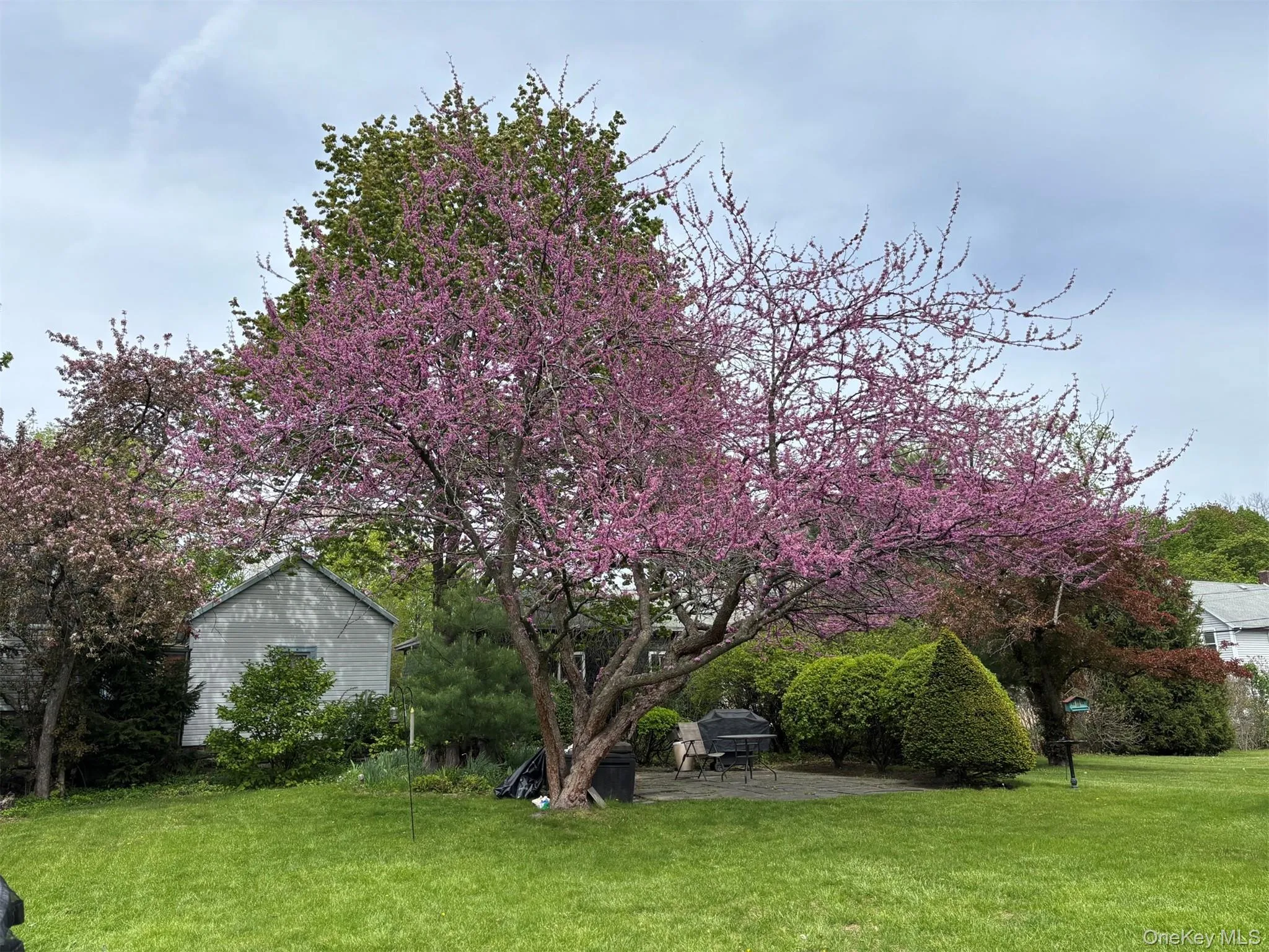 165 Clifton Avenue, Kingston, NY, 3 Bedrooms Bedrooms, 6 Rooms Rooms,1 BathroomBathrooms,Residential,For Rent,Clifton,0,1008626 165 Clifton Avenue, Kingston, NY, 3 Bedrooms Bedrooms, 6 Rooms Rooms,1 BathroomBathrooms,Residential,For Rent,Clifton,0,1008626