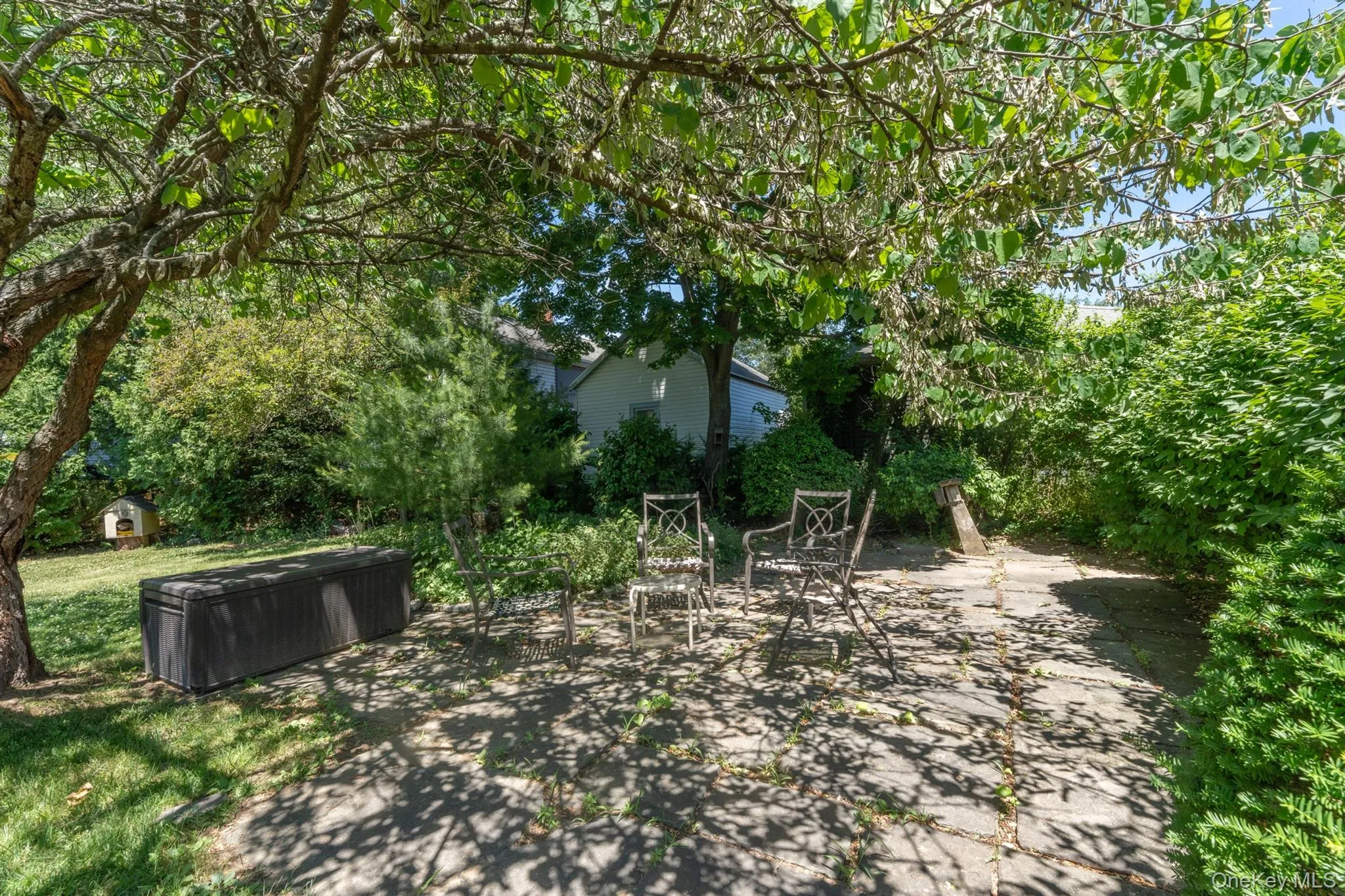 165 Clifton Avenue, Kingston, NY, 3 Bedrooms Bedrooms, 6 Rooms Rooms,1 BathroomBathrooms,Residential,For Rent,Clifton,0,1008626 165 Clifton Avenue, Kingston, NY, 3 Bedrooms Bedrooms, 6 Rooms Rooms,1 BathroomBathrooms,Residential,For Rent,Clifton,0,1008626