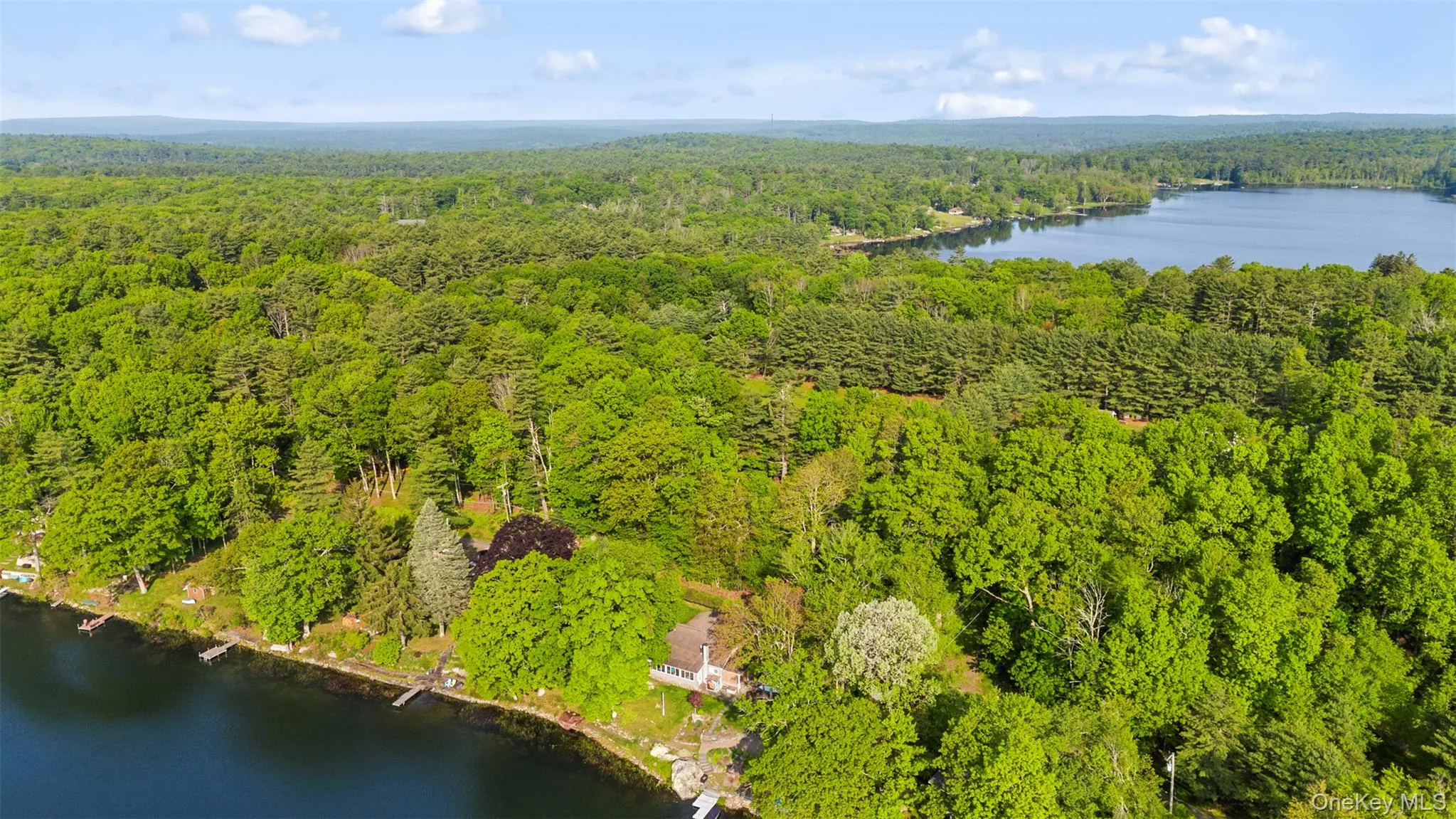 Drone / aerial view of a heavily wooded area and a nearby body of water Drone / aerial view of a heavily wooded area and a nearby body of water