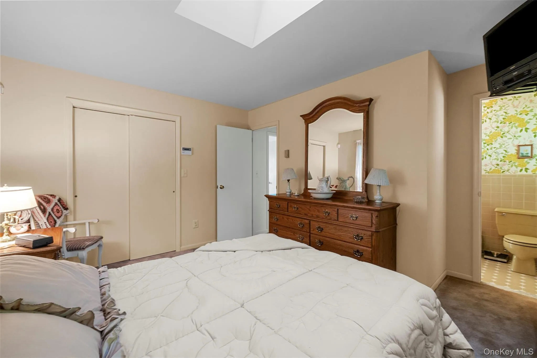 Carpeted bedroom featuring a closet, ensuite bathroom, and a skylight Carpeted bedroom featuring a closet, ensuite bathroom, and a skylight