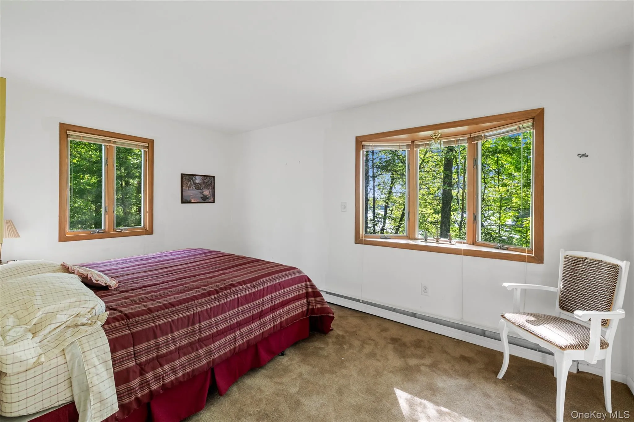 Bedroom with multiple windows, carpet flooring, baseboard heating, and baseboards Bedroom with multiple windows, carpet flooring, baseboard heating, and baseboards