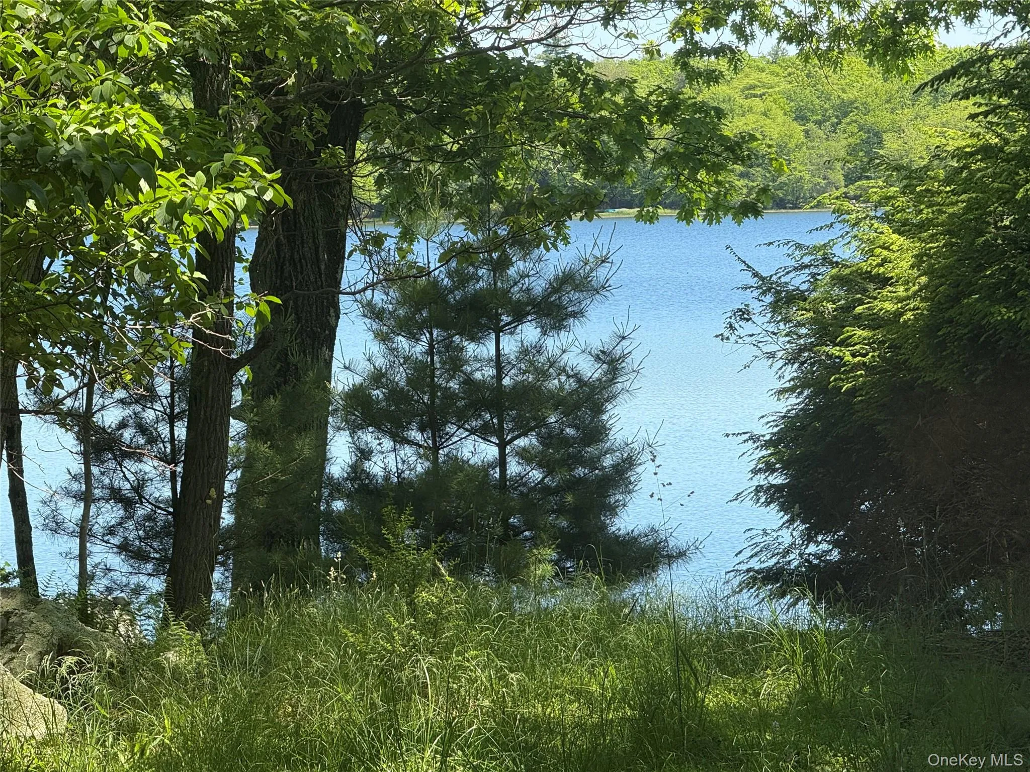 16 Fairway Drive, Highland, NY, 3 Bedrooms Bedrooms, 7 Rooms Rooms,2 BathroomsBathrooms,Residential,For Rent,Fairway,0,1008663 16 Fairway Drive, Highland, NY, 3 Bedrooms Bedrooms, 7 Rooms Rooms,2 BathroomsBathrooms,Residential,For Rent,Fairway,0,1008663