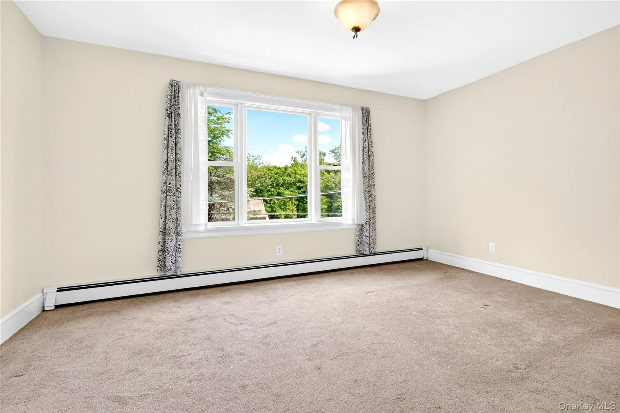 Carpeted room featuring a multi-pane window, baseboard heating, ceiling light fixture, and neutral wall tones Carpeted room featuring a multi-pane window, baseboard heating, ceiling light fixture, and neutral wall tones