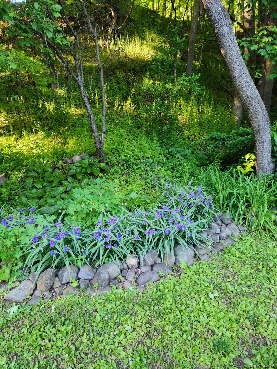 3318 State Route 94, Blooming Grove, NY, 3 Bedrooms Bedrooms, 11 Rooms Rooms,2 BathroomsBathrooms,Residential,For Rent,State Route 94,0,KEY1008703 3318 State Route 94, Blooming Grove, NY, 3 Bedrooms Bedrooms, 11 Rooms Rooms,2 BathroomsBathrooms,Residential,For Rent,State Route 94,0,KEY1008703