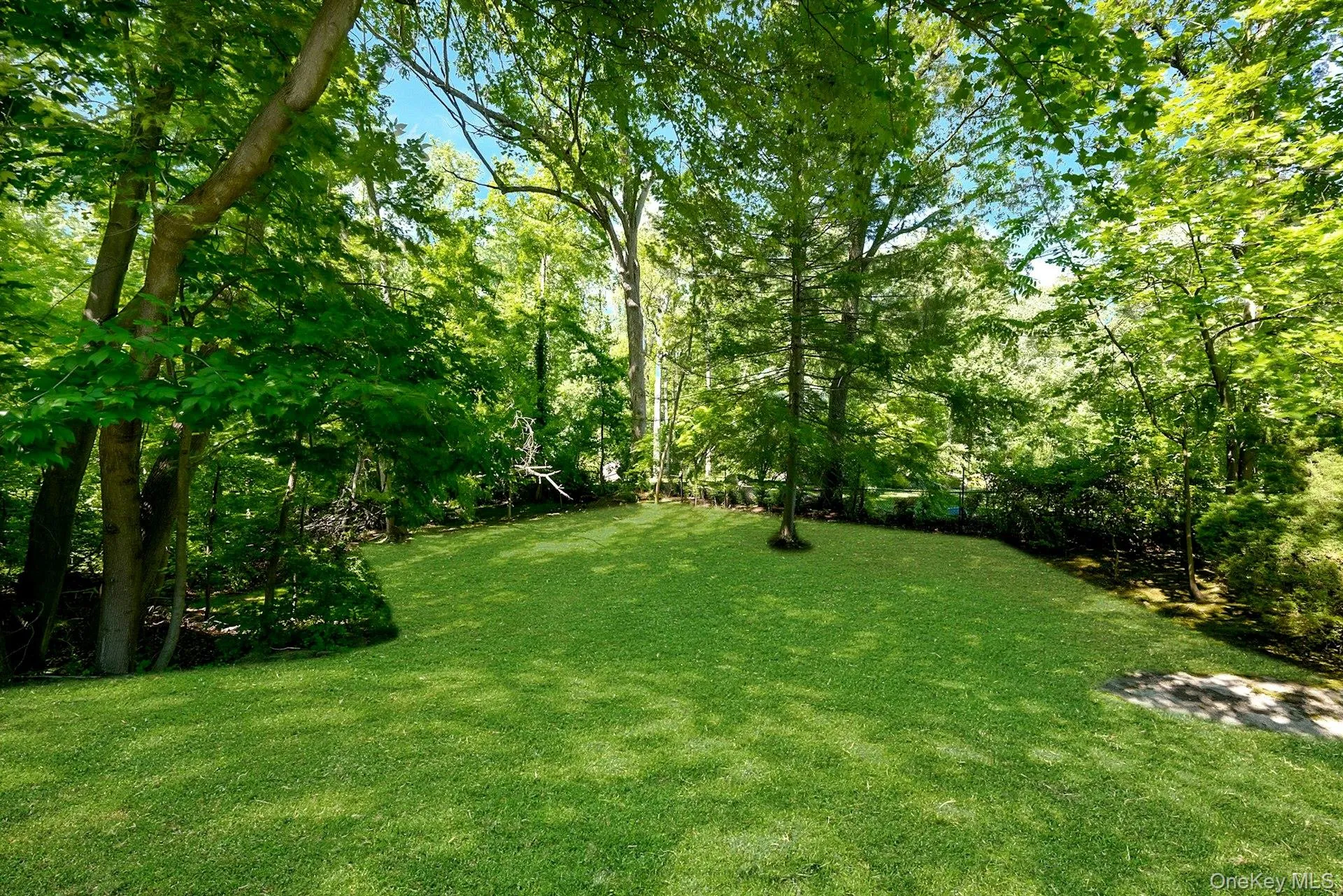 Lots of space for play! Lots of space for play!