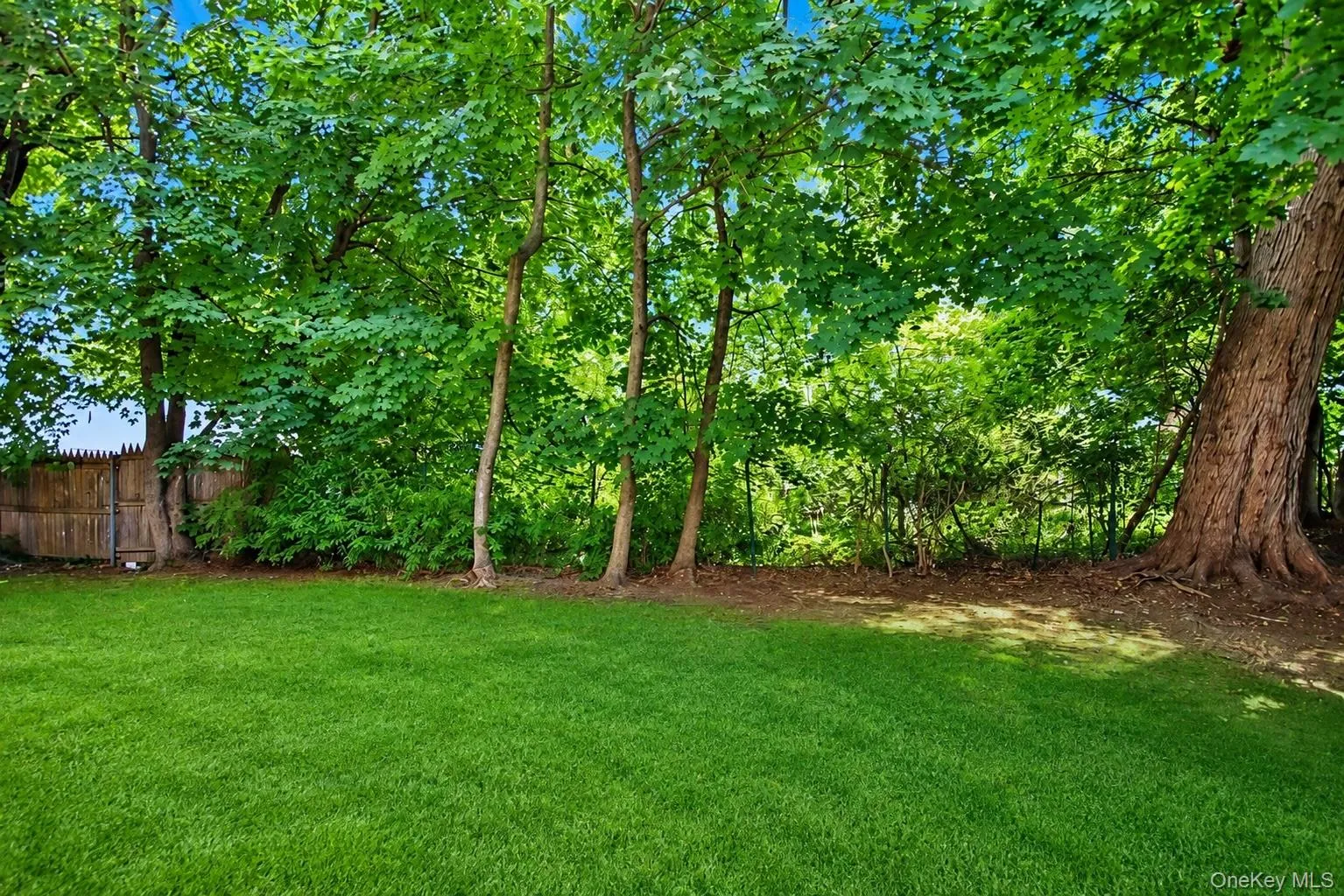 7 Tudor Place, Greenburgh, NY, 4 Bedrooms Bedrooms, 7 Rooms Rooms,1 BathroomBathrooms,Residential Lease,For Rent,Tudor,0,1008718 7 Tudor Place, Greenburgh, NY, 4 Bedrooms Bedrooms, 7 Rooms Rooms,1 BathroomBathrooms,Residential Lease,For Rent,Tudor,0,1008718