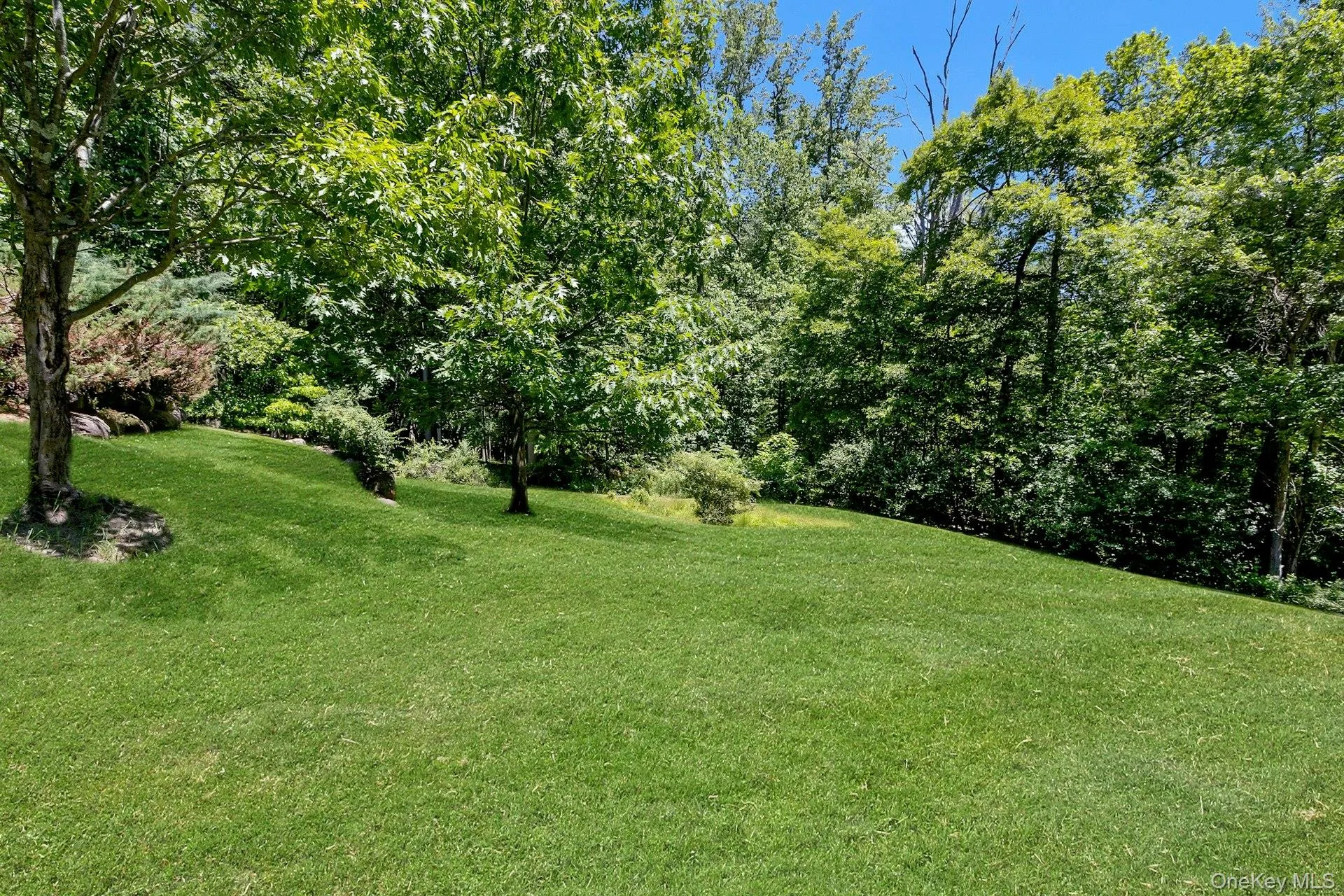 11 Badi Drive, Clarkstown, NY, 6 Bedrooms Bedrooms, 13 Rooms Rooms,4 BathroomsBathrooms,Residential,For Rent,Badi,0,KEY1008750 11 Badi Drive, Clarkstown, NY, 6 Bedrooms Bedrooms, 13 Rooms Rooms,4 BathroomsBathrooms,Residential,For Rent,Badi,0,KEY1008750