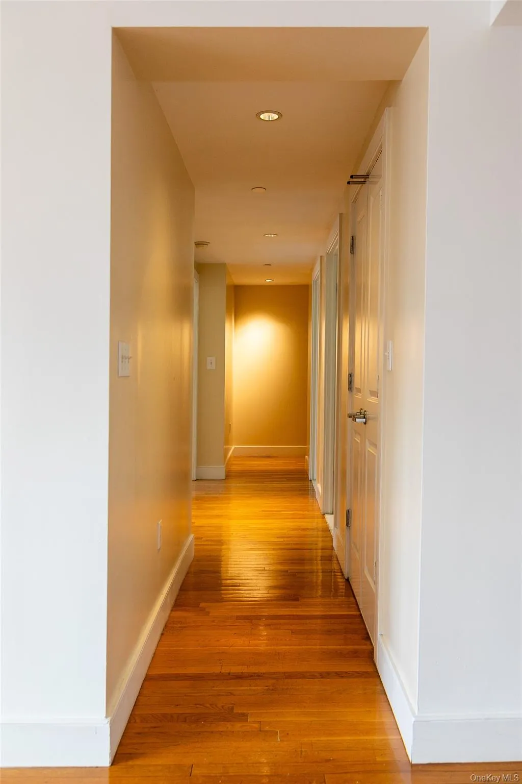 Hardwood flooring extending through a neutral-toned hallway with recessed lighting and white paneled doors Hardwood flooring extending through a neutral-toned hallway with recessed lighting and white paneled doors