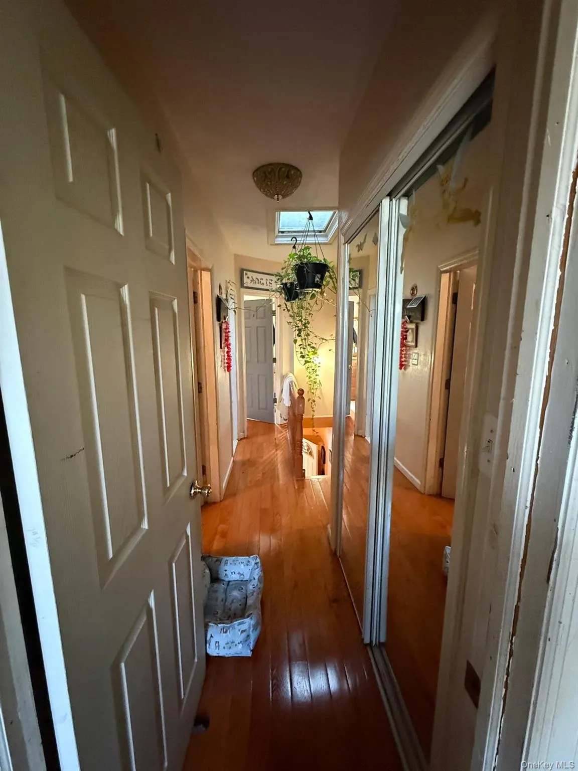 9109 139th Street, New York, NY, 3 Bedrooms Bedrooms, 8 Rooms Rooms,2 BathroomsBathrooms,Residential,For Rent,139th,0,1008768 9109 139th Street, New York, NY, 3 Bedrooms Bedrooms, 8 Rooms Rooms,2 BathroomsBathrooms,Residential,For Rent,139th,0,1008768