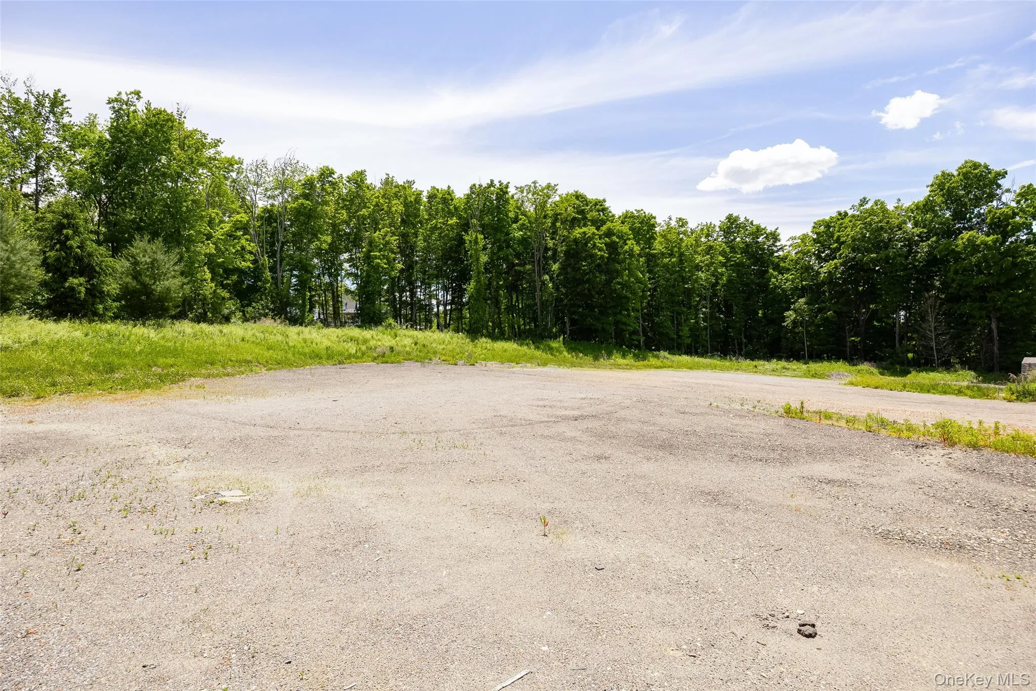 36 Marshall Road, Pleasant Valley, NY, 4 Bedrooms Bedrooms, 8 Rooms Rooms,2 BathroomsBathrooms,Residential,For Rent,Marshall,0,1008796 36 Marshall Road, Pleasant Valley, NY, 4 Bedrooms Bedrooms, 8 Rooms Rooms,2 BathroomsBathrooms,Residential,For Rent,Marshall,0,1008796
