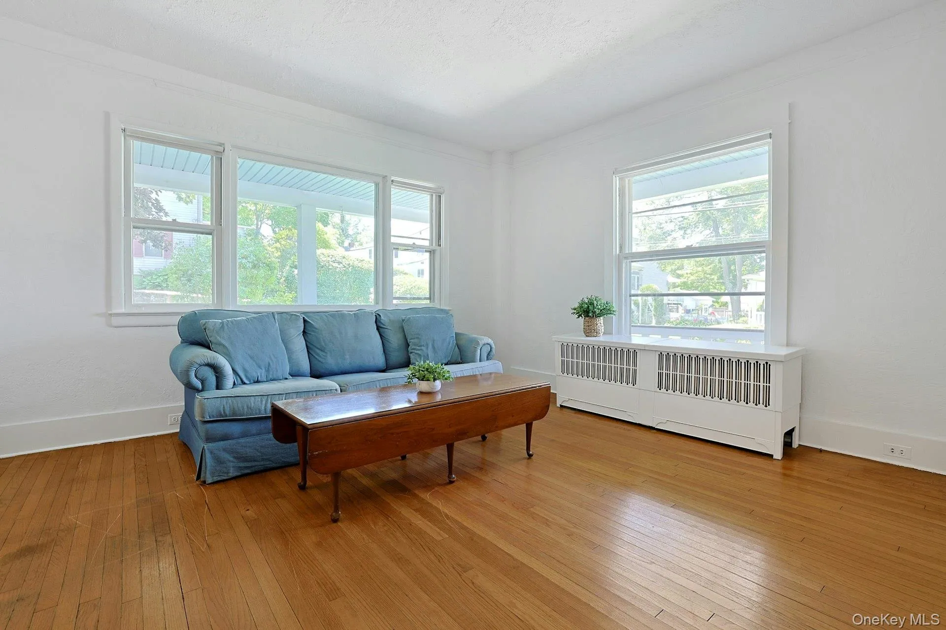 Big Picture Windows - Great Natural Light Big Picture Windows - Great Natural Light