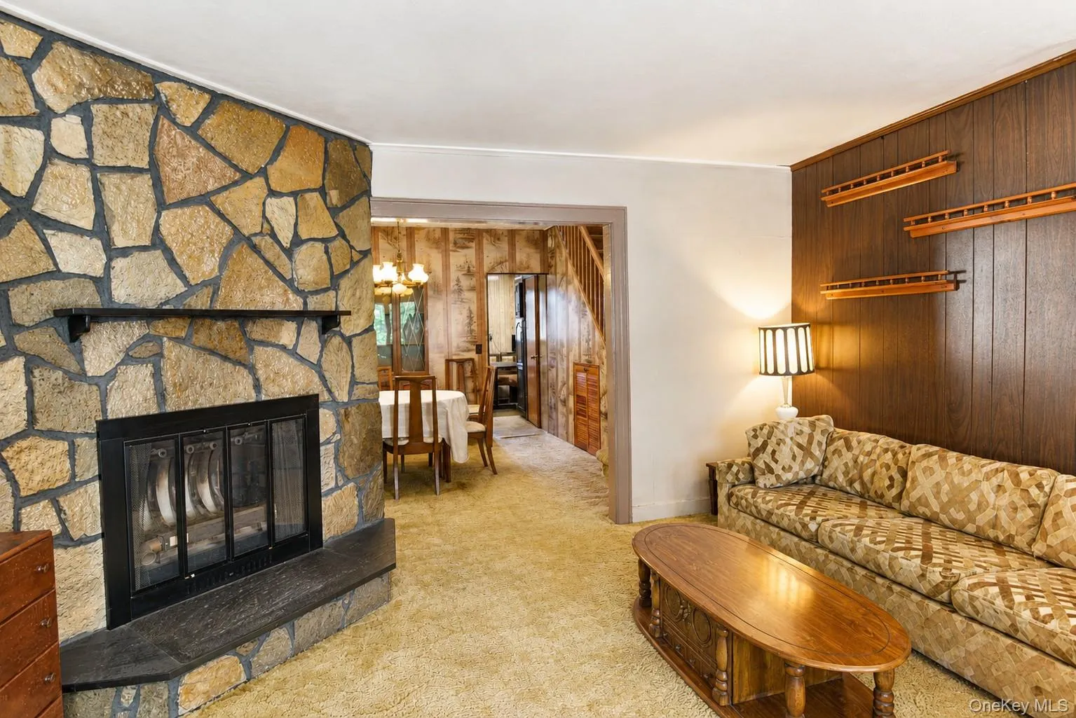 Wood-burning fireplace in living room Wood-burning fireplace in living room