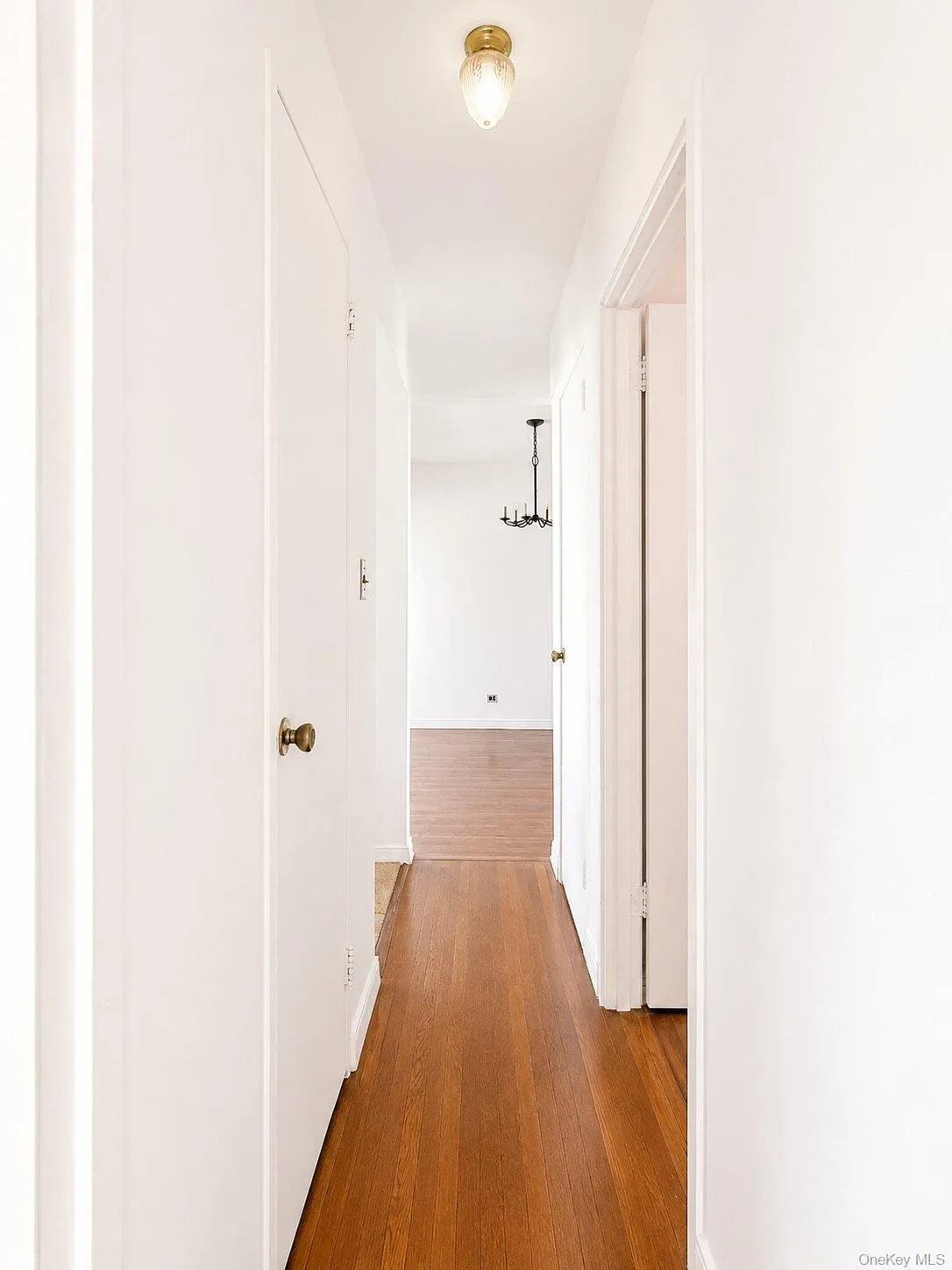 4295 Webster Avenue, New York, NY, 2 Bedrooms Bedrooms, 1 Room Rooms,1 BathroomBathrooms,Residential,For Rent,Webster,0,1008851 4295 Webster Avenue, New York, NY, 2 Bedrooms Bedrooms, 1 Room Rooms,1 BathroomBathrooms,Residential,For Rent,Webster,0,1008851