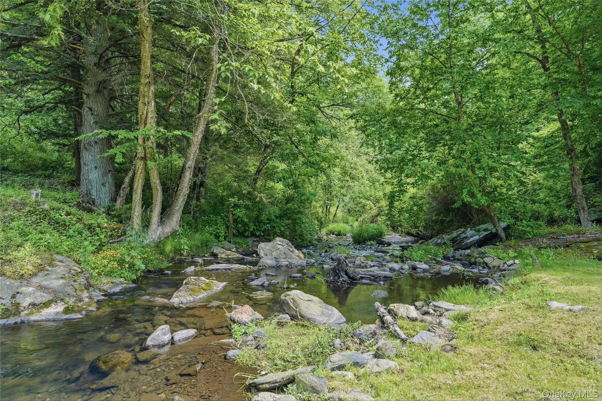 Stream at back of home Stream at back of home