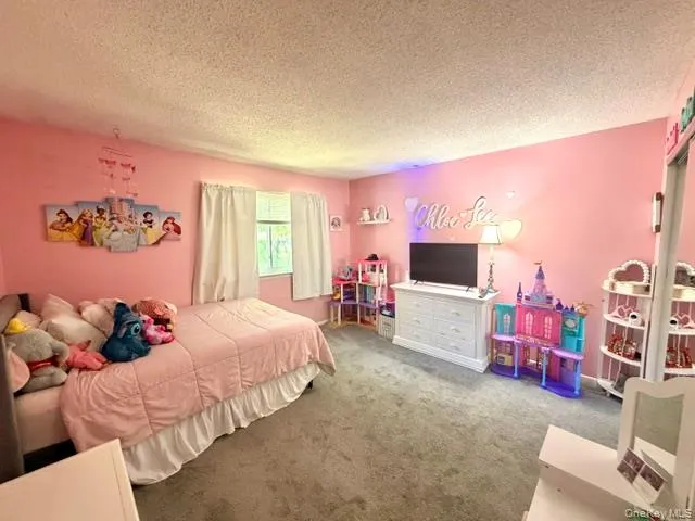 Carpeted room featuring a single window with white curtains, a textured ceiling, and pink painted walls Carpeted room featuring a single window with white curtains, a textured ceiling, and pink painted walls