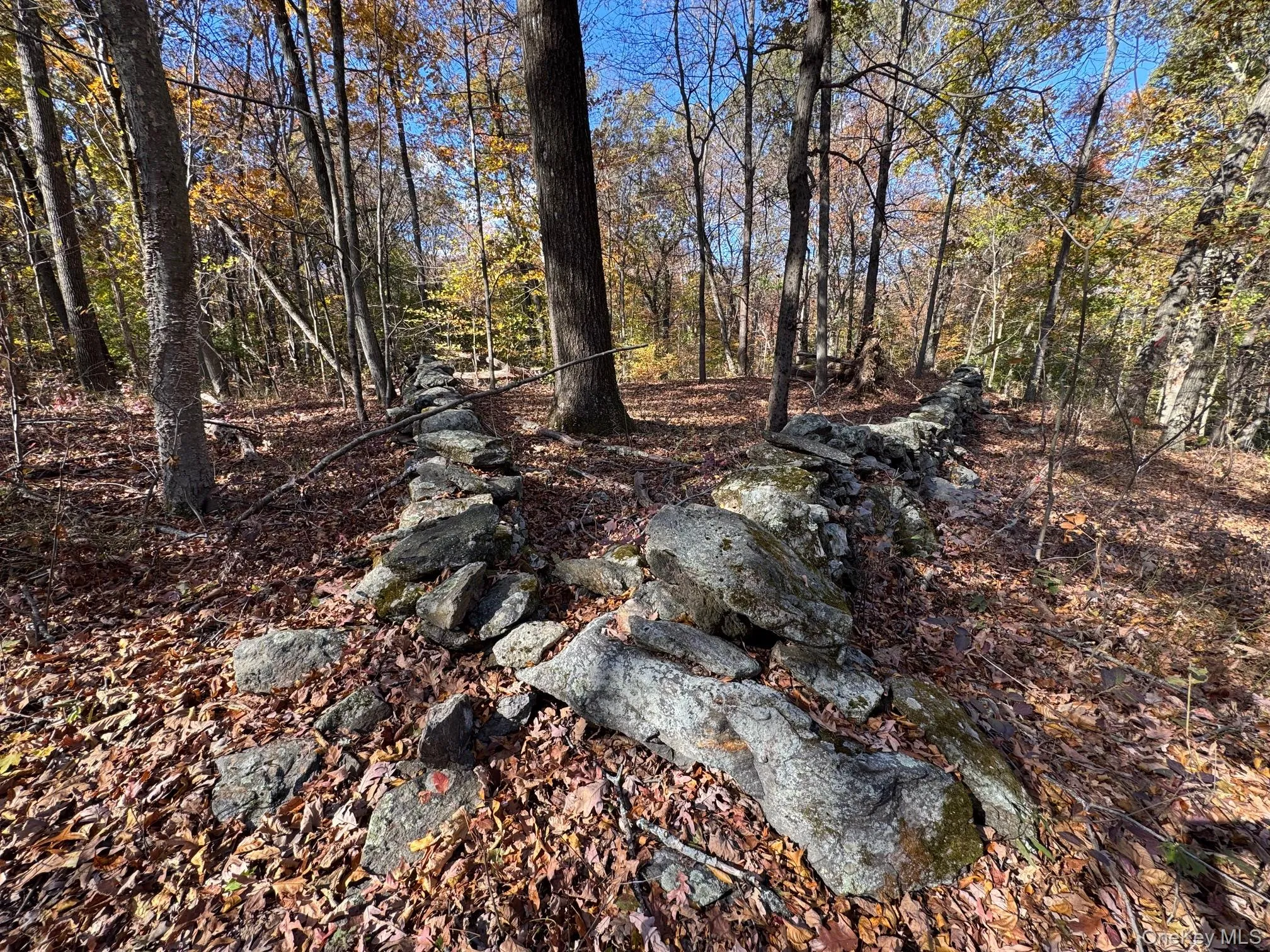 94 Somerstown Road, Ossining, NY, ,Land,For Rent,Somerstown,0,1008929 94 Somerstown Road, Ossining, NY, ,Land,For Rent,Somerstown,0,1008929
