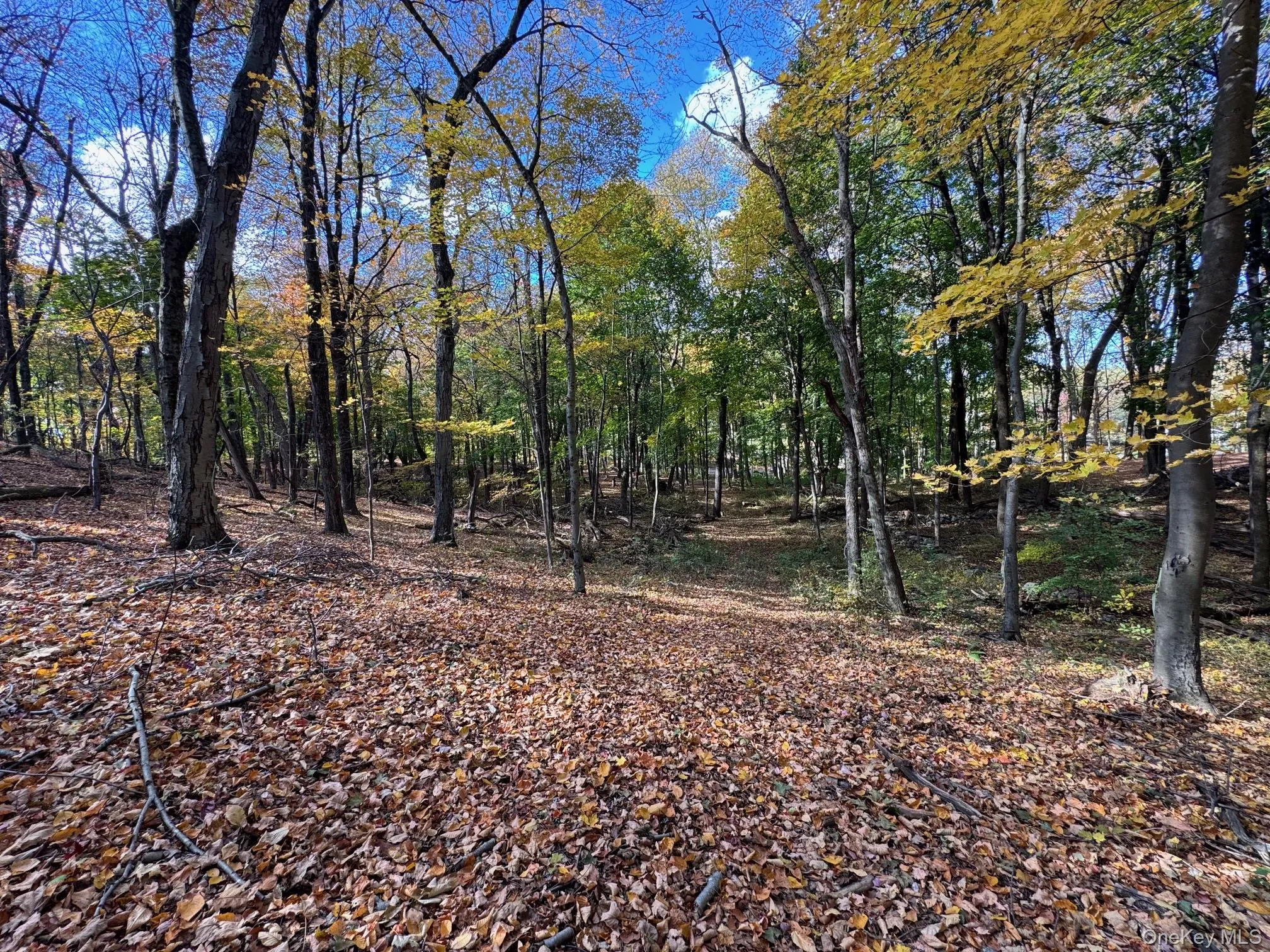 94 Somerstown Road, Ossining, NY, ,Land,For Rent,Somerstown,0,1008929 94 Somerstown Road, Ossining, NY, ,Land,For Rent,Somerstown,0,1008929