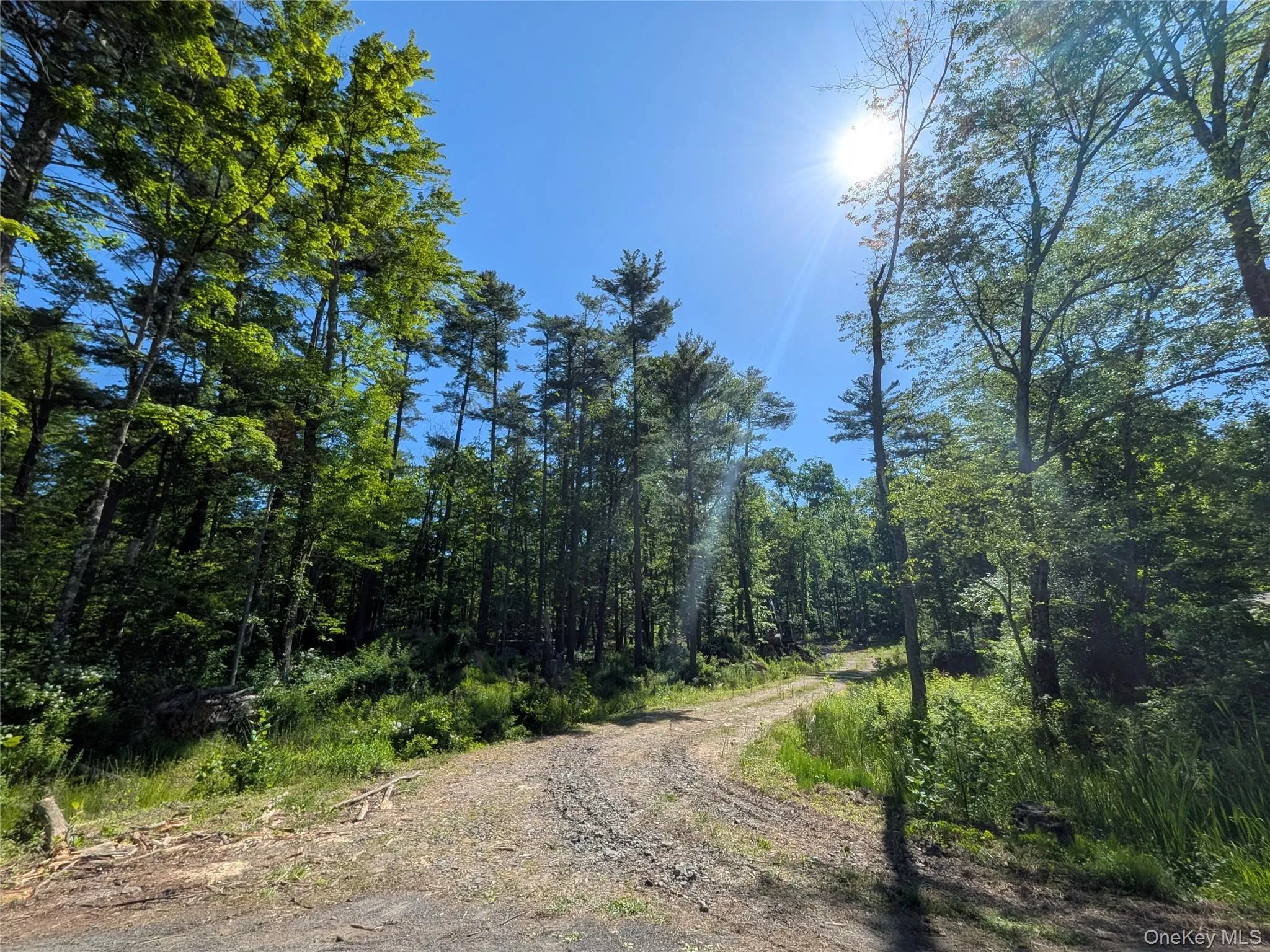 856 Berme Road, Marbletown, NY, ,Land,For Rent,Berme,0,1008931 856 Berme Road, Marbletown, NY, ,Land,For Rent,Berme,0,1008931