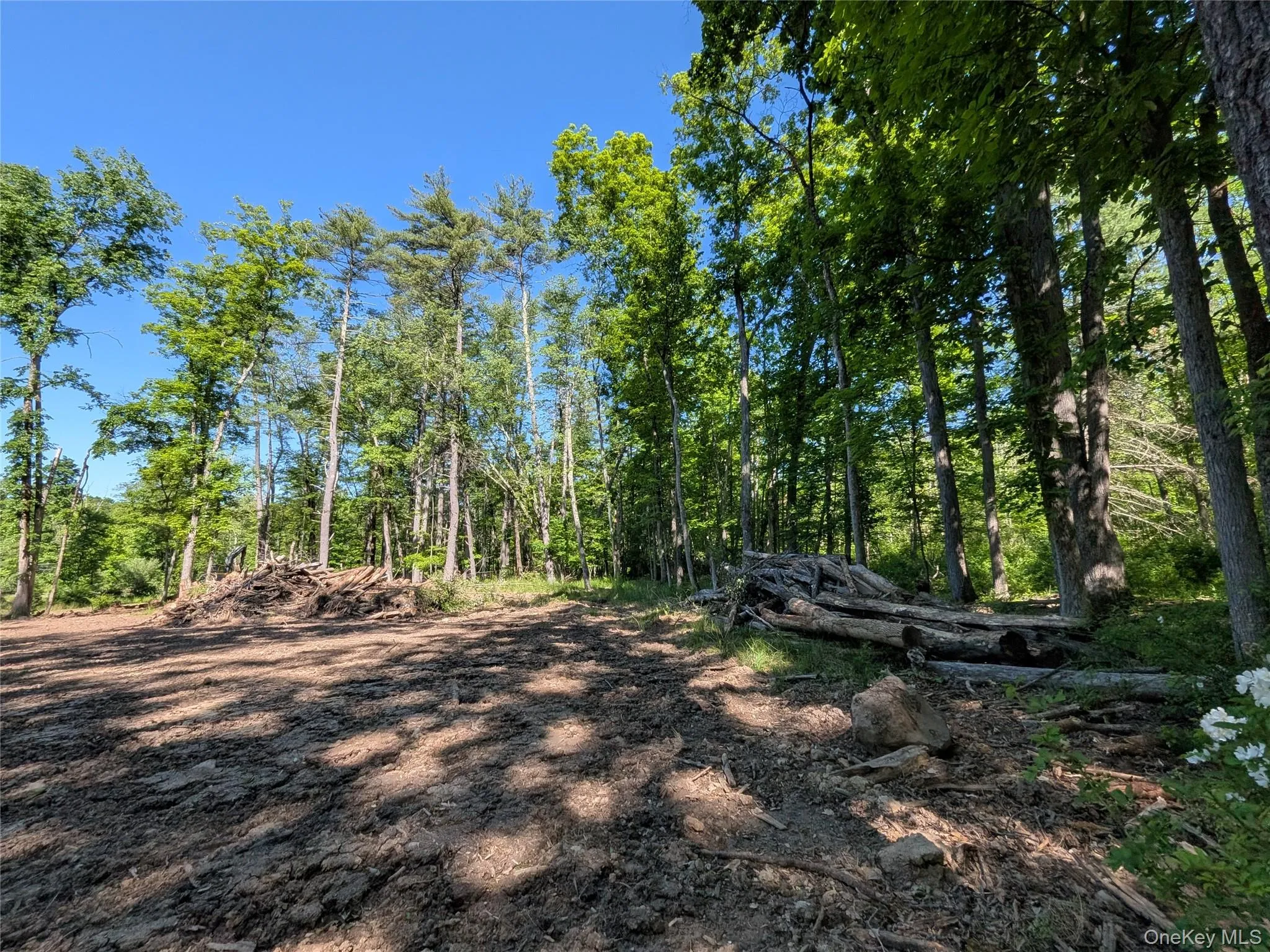 856 Berme Road, Marbletown, NY, ,Land,For Rent,Berme,0,1008931 856 Berme Road, Marbletown, NY, ,Land,For Rent,Berme,0,1008931