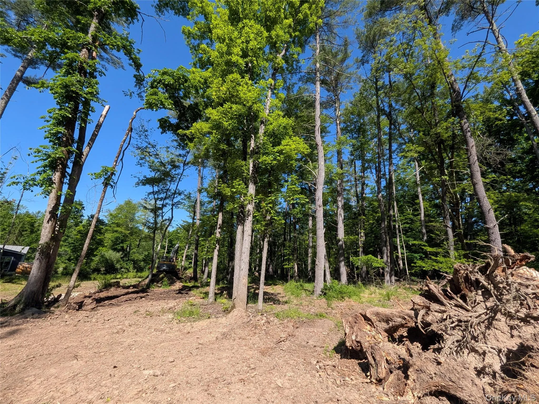 856 Berme Road, Marbletown, NY, ,Land,For Rent,Berme,0,1008931 856 Berme Road, Marbletown, NY, ,Land,For Rent,Berme,0,1008931