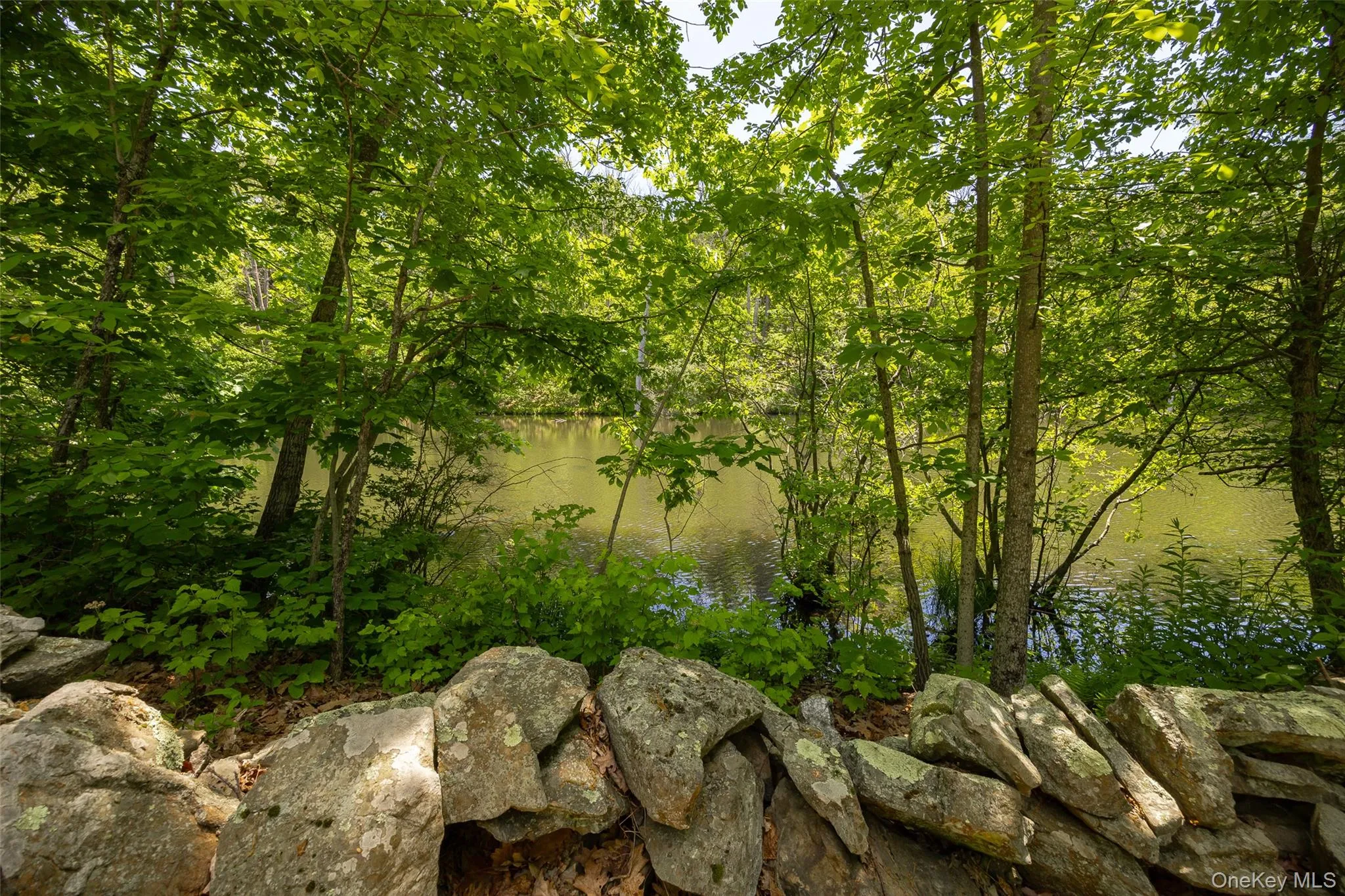 44 Eleanor Drive, Pleasant Valley, NY, 4 Bedrooms Bedrooms, 10 Rooms Rooms,3 BathroomsBathrooms,Residential,For Rent,Eleanor,0,1008946 44 Eleanor Drive, Pleasant Valley, NY, 4 Bedrooms Bedrooms, 10 Rooms Rooms,3 BathroomsBathrooms,Residential,For Rent,Eleanor,0,1008946