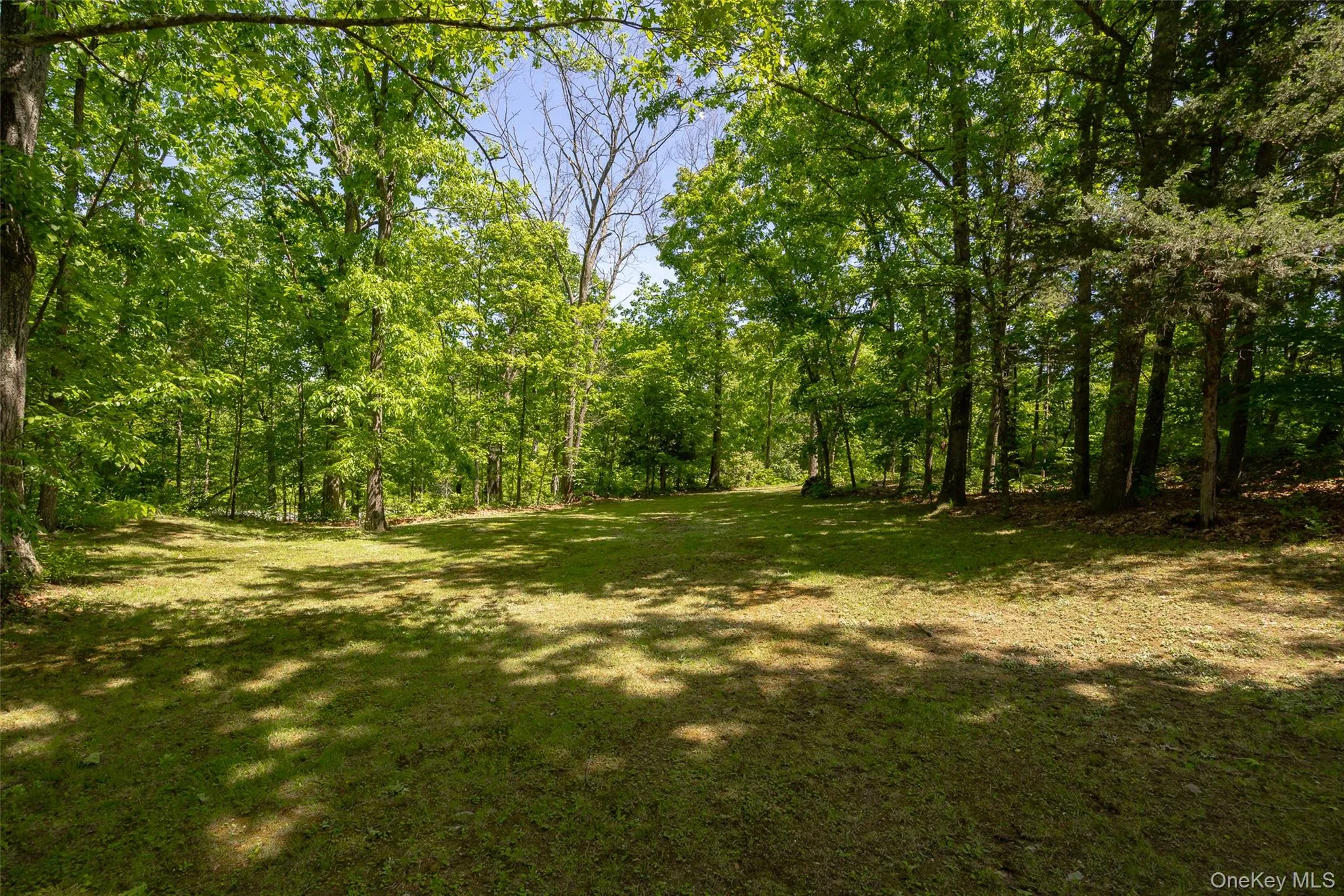 44 Eleanor Drive, Pleasant Valley, NY, 4 Bedrooms Bedrooms, 10 Rooms Rooms,3 BathroomsBathrooms,Residential,For Rent,Eleanor,0,1008946 44 Eleanor Drive, Pleasant Valley, NY, 4 Bedrooms Bedrooms, 10 Rooms Rooms,3 BathroomsBathrooms,Residential,For Rent,Eleanor,0,1008946
