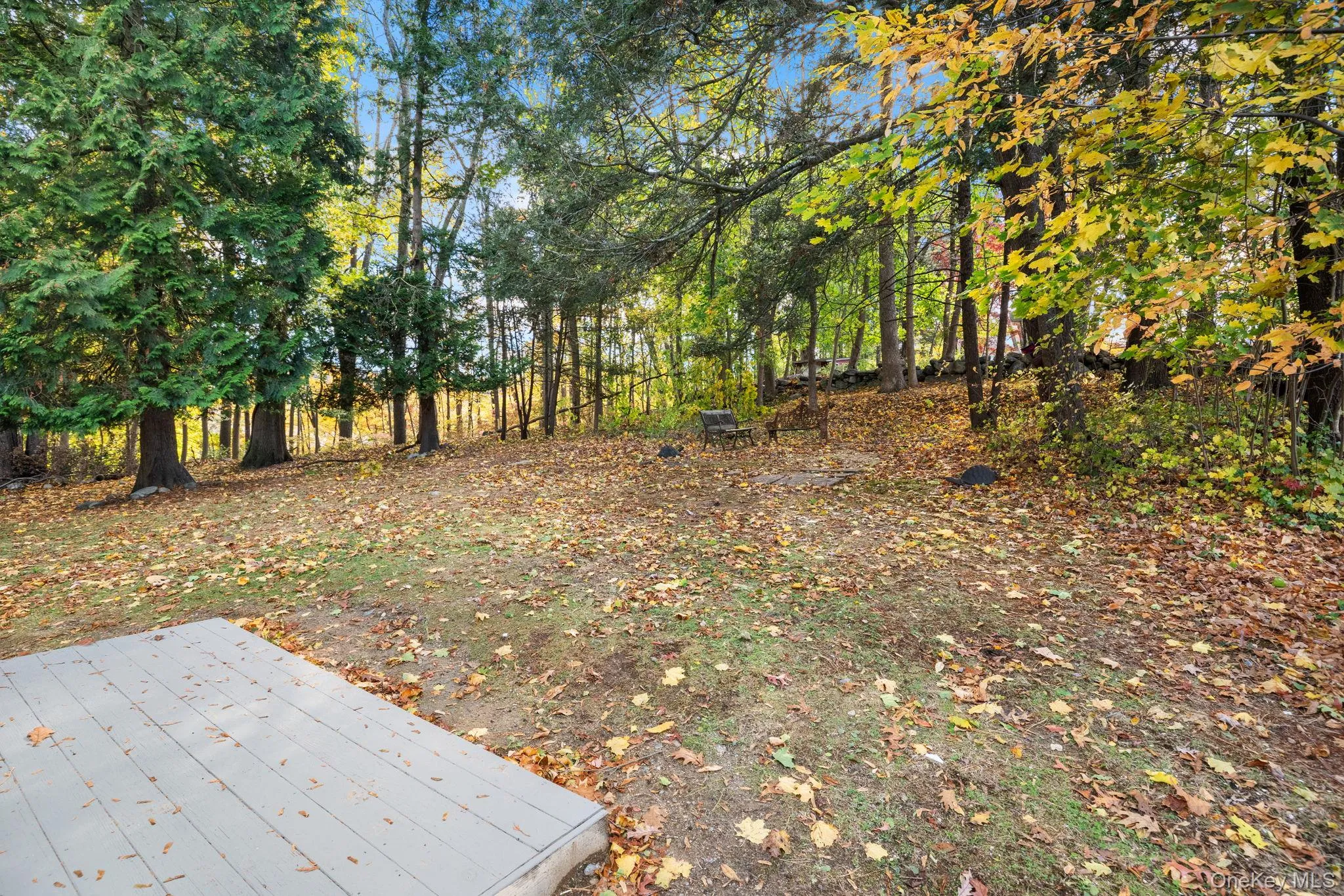 Peaceful and private, the spacious backyard offers a natural wooded backdrop — perfect for quiet mornings, evening fires, or simply enjoying the changing seasons. Peaceful and private, the spacious backyard offers a natural wooded backdrop — perfect for quiet mornings, evening fires, or simply enjoying the changing seasons.