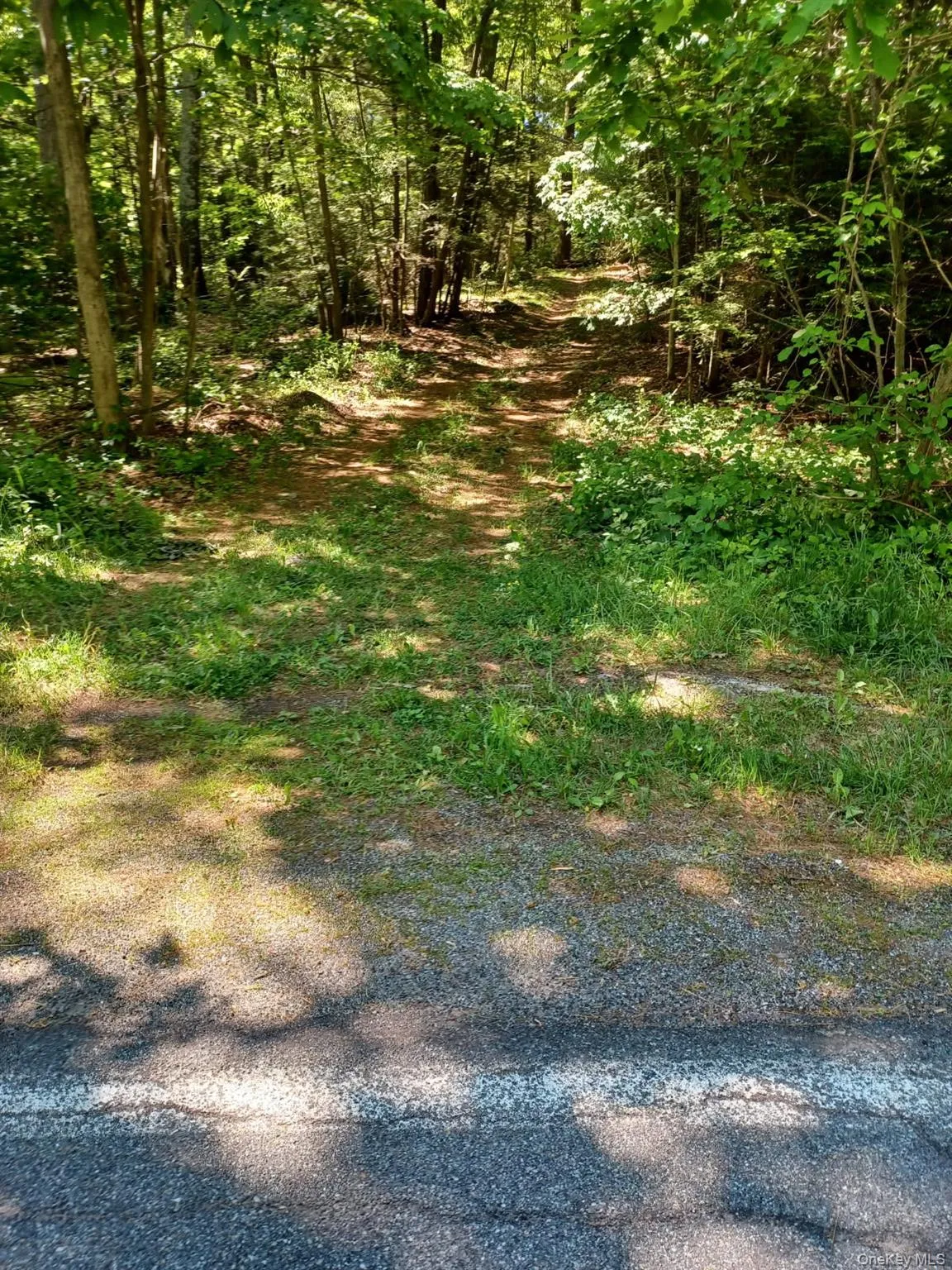 20.9 Acre wooded lot access driveway off of Bramertown Road, Tuxedo NY. Bordering Sterling Forest State Park-lands 20.9 Acre wooded lot access driveway off of Bramertown Road, Tuxedo NY. Bordering Sterling Forest State Park-lands