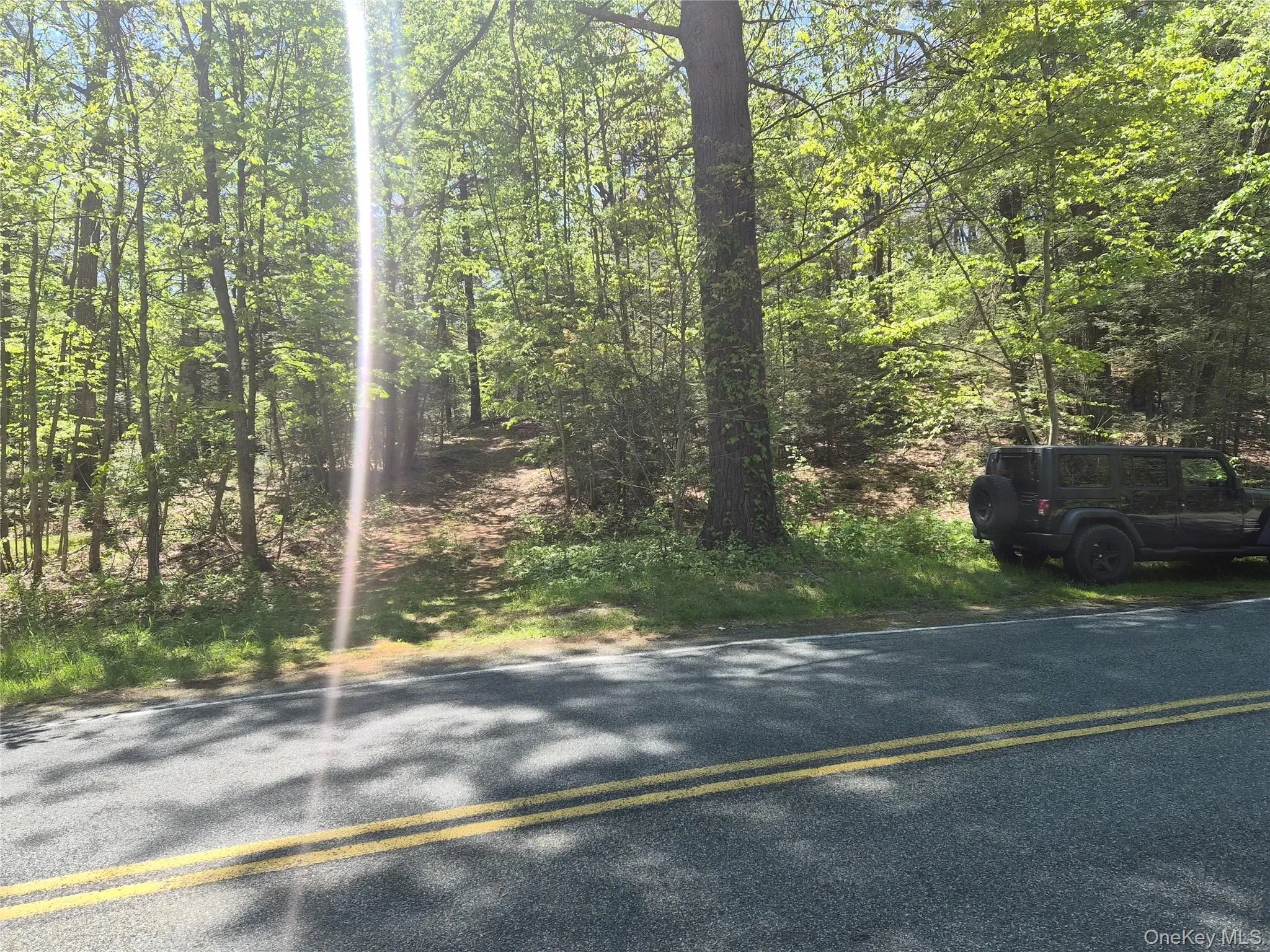 Bramertown Road, Tuxedo has electric at the Road frontage of the 20.9 acre lot. Bramertown Road, Tuxedo has electric at the Road frontage of the 20.9 acre lot.