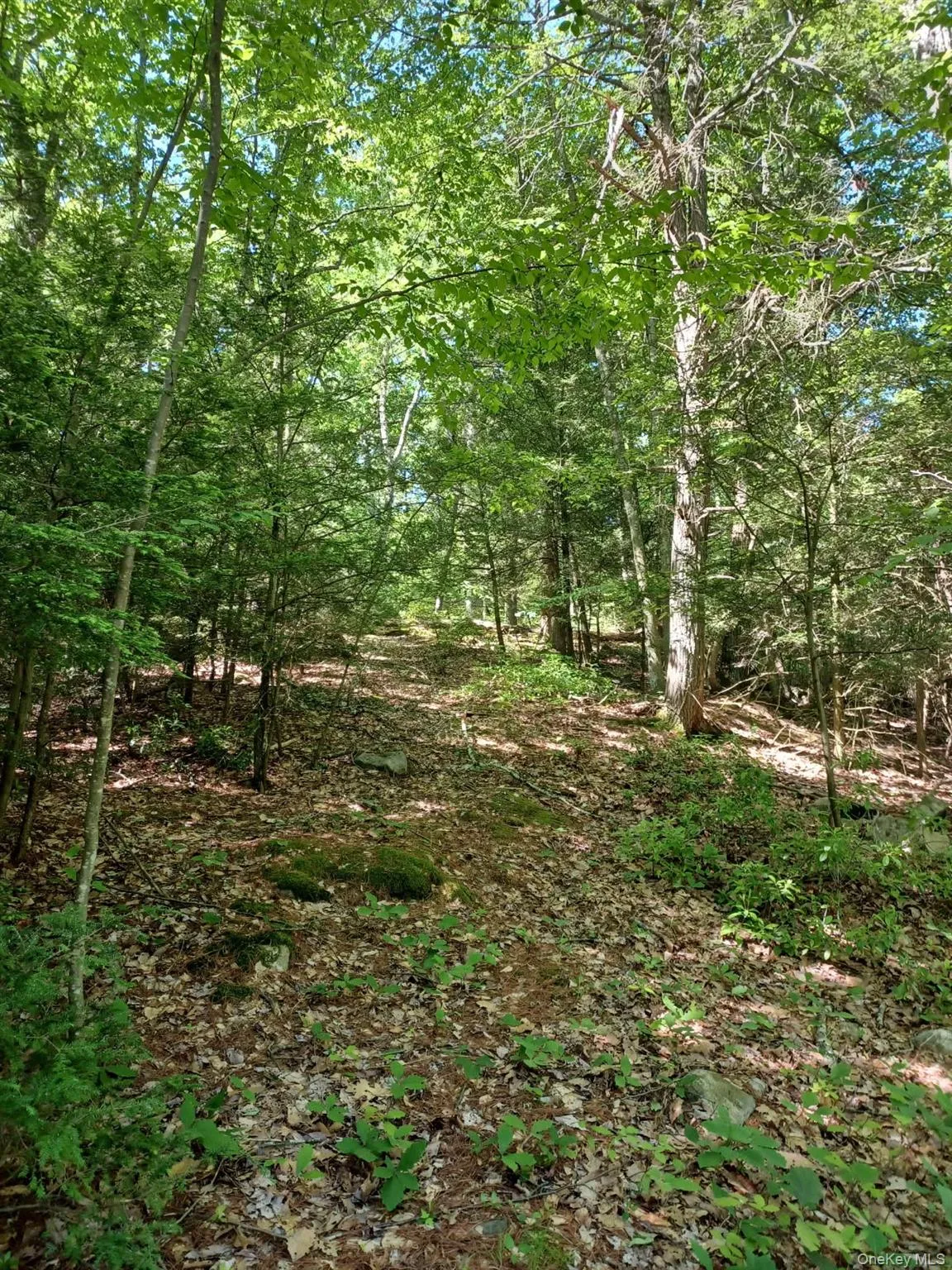 Wooded and Accessible 20.9 acre building lot. Possible subdivision for several residential homes on R1 zoning. Wooded and Accessible 20.9 acre building lot. Possible subdivision for several residential homes on R1 zoning.
