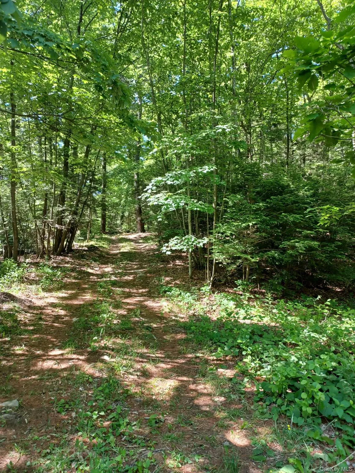 Cleared easy access wooded trail to lot house sites Cleared easy access wooded trail to lot house sites