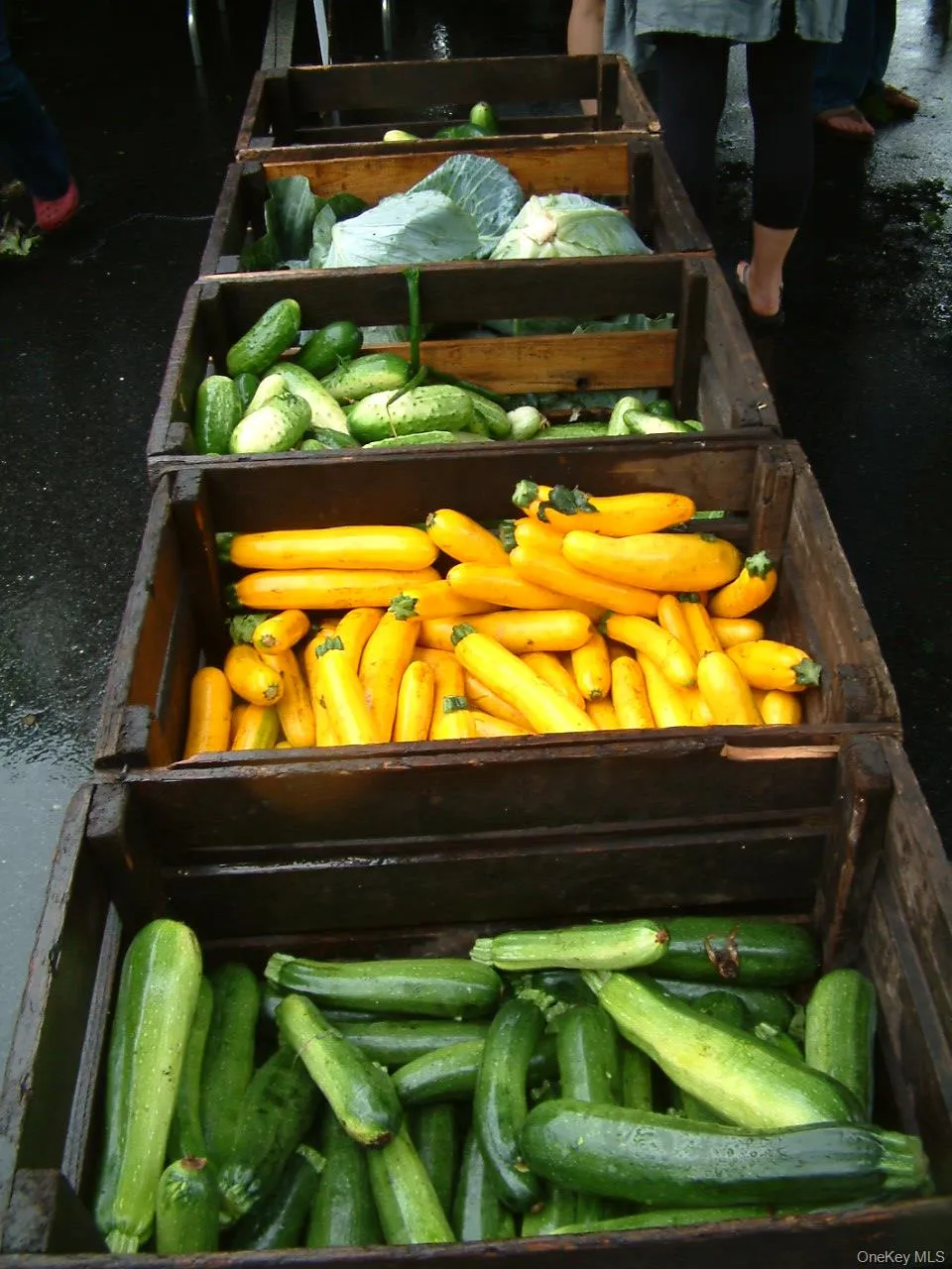 Saturday Farmers market at the Tuxedo Train Station Saturday Farmers market at the Tuxedo Train Station