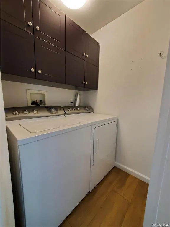 123 Maple Avenue, Brookhaven, NY, 1 Bedroom Bedrooms, 3 Rooms Rooms,1 BathroomBathrooms,Residential Lease,For Rent,Maple,0,1009034 123 Maple Avenue, Brookhaven, NY, 1 Bedroom Bedrooms, 3 Rooms Rooms,1 BathroomBathrooms,Residential Lease,For Rent,Maple,0,1009034