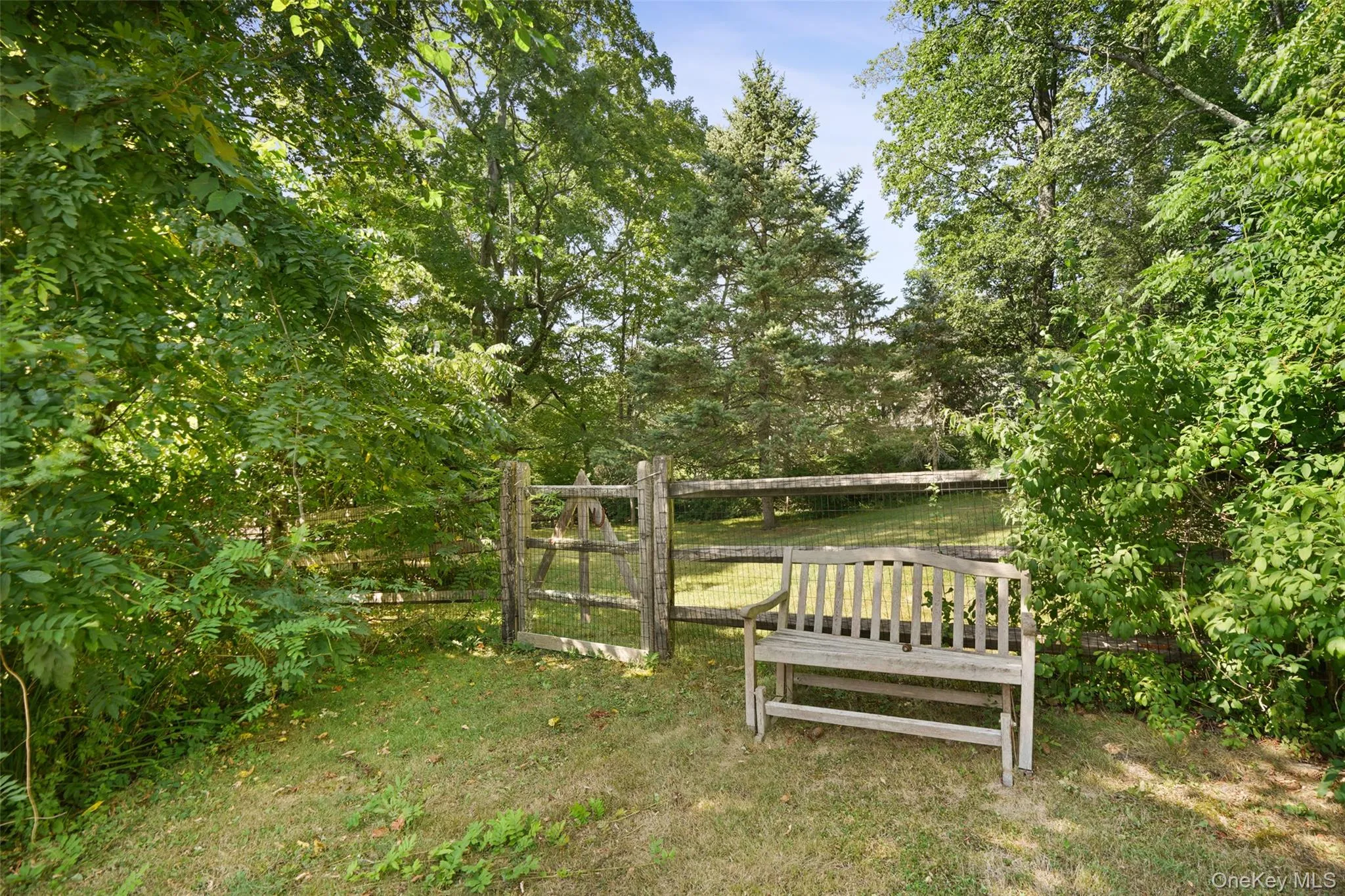 fenced yard fenced yard