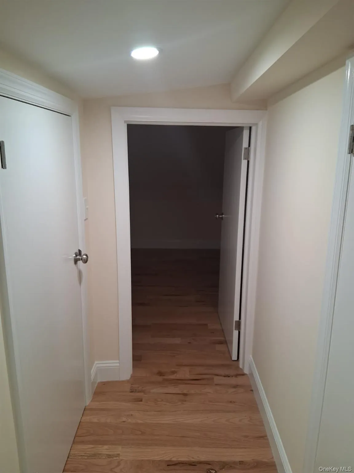 Hall featuring light wood-style flooring and recessed lighting Hall featuring light wood-style flooring and recessed lighting