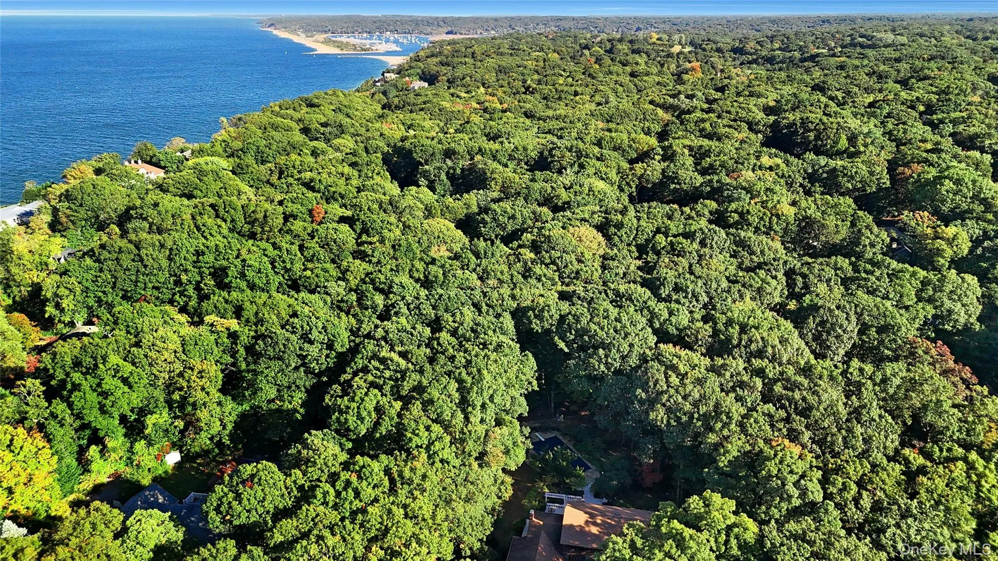 6 Cliffside Drive, Brookhaven, NY, 5 Bedrooms Bedrooms, 11 Rooms Rooms,4 BathroomsBathrooms,Residential,For Rent,Cliffside,0,1009076 6 Cliffside Drive, Brookhaven, NY, 5 Bedrooms Bedrooms, 11 Rooms Rooms,4 BathroomsBathrooms,Residential,For Rent,Cliffside,0,1009076
