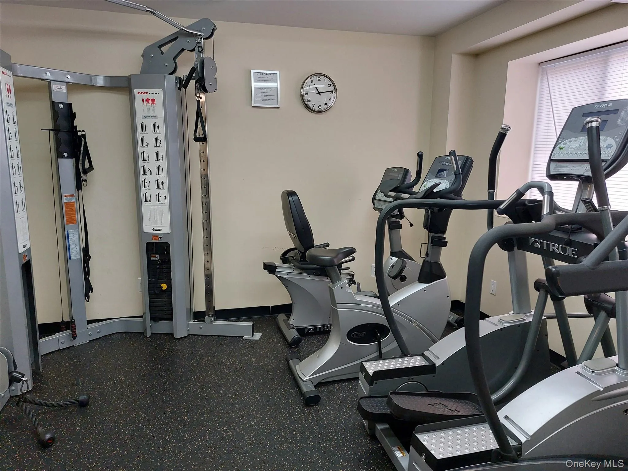 14116 84th Drive, New York, NY, 1 Bedroom Bedrooms, 4 Rooms Rooms,1 BathroomBathrooms,Residential,For Rent,84th,0,1009103 14116 84th Drive, New York, NY, 1 Bedroom Bedrooms, 4 Rooms Rooms,1 BathroomBathrooms,Residential,For Rent,84th,0,1009103