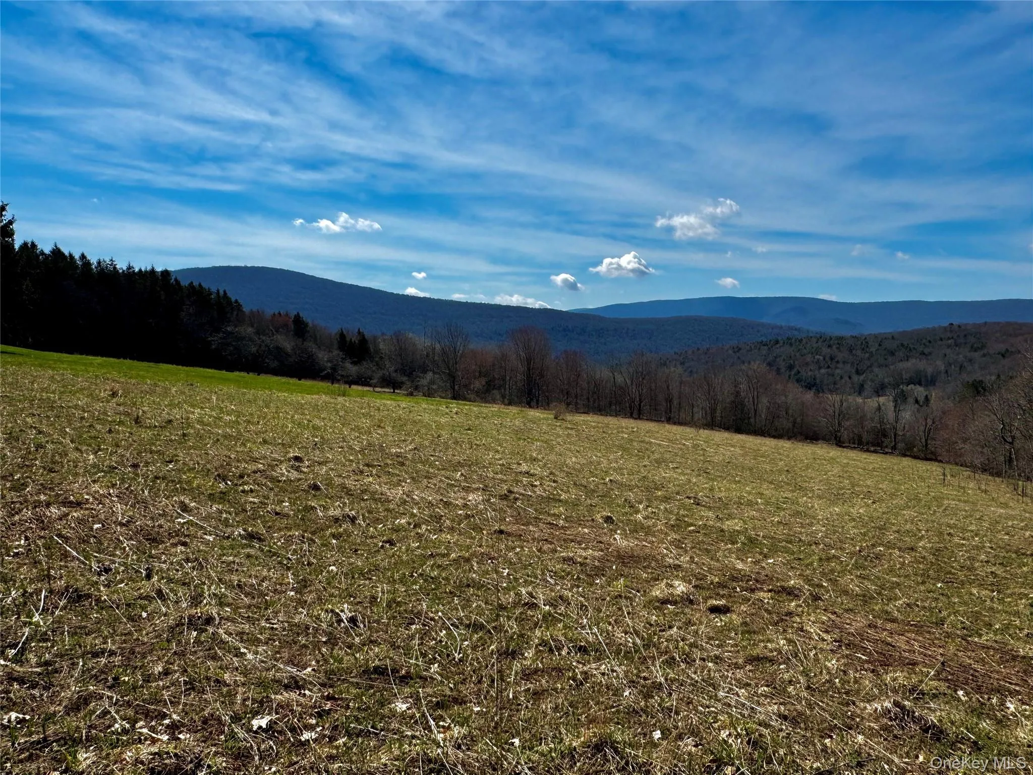 Hog Mountain, Middletown, NY, ,Land,For Rent,Hog Mountain,0,1009128 Hog Mountain, Middletown, NY, ,Land,For Rent,Hog Mountain,0,1009128