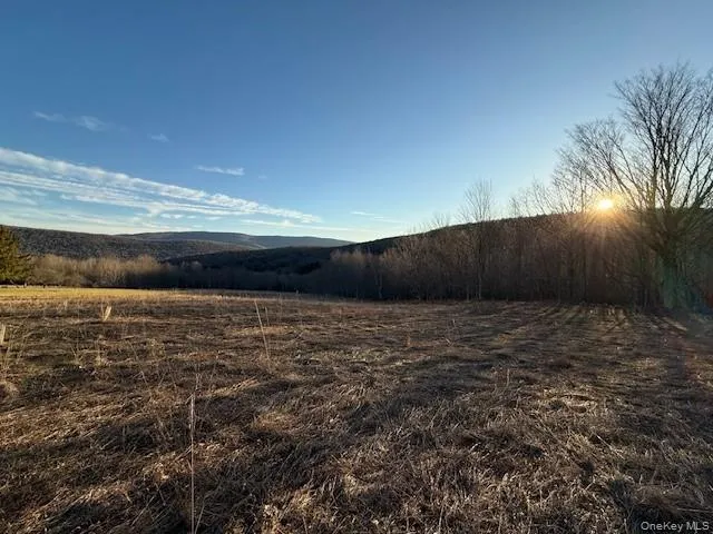 Hog Mountain, Middletown, NY, ,Land,For Rent,Hog Mountain,0,1009128 Hog Mountain, Middletown, NY, ,Land,For Rent,Hog Mountain,0,1009128
