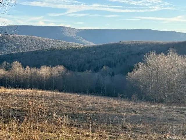 Hog Mountain, Middletown, NY, ,Land,For Rent,Hog Mountain,0,1009128 Hog Mountain, Middletown, NY, ,Land,For Rent,Hog Mountain,0,1009128